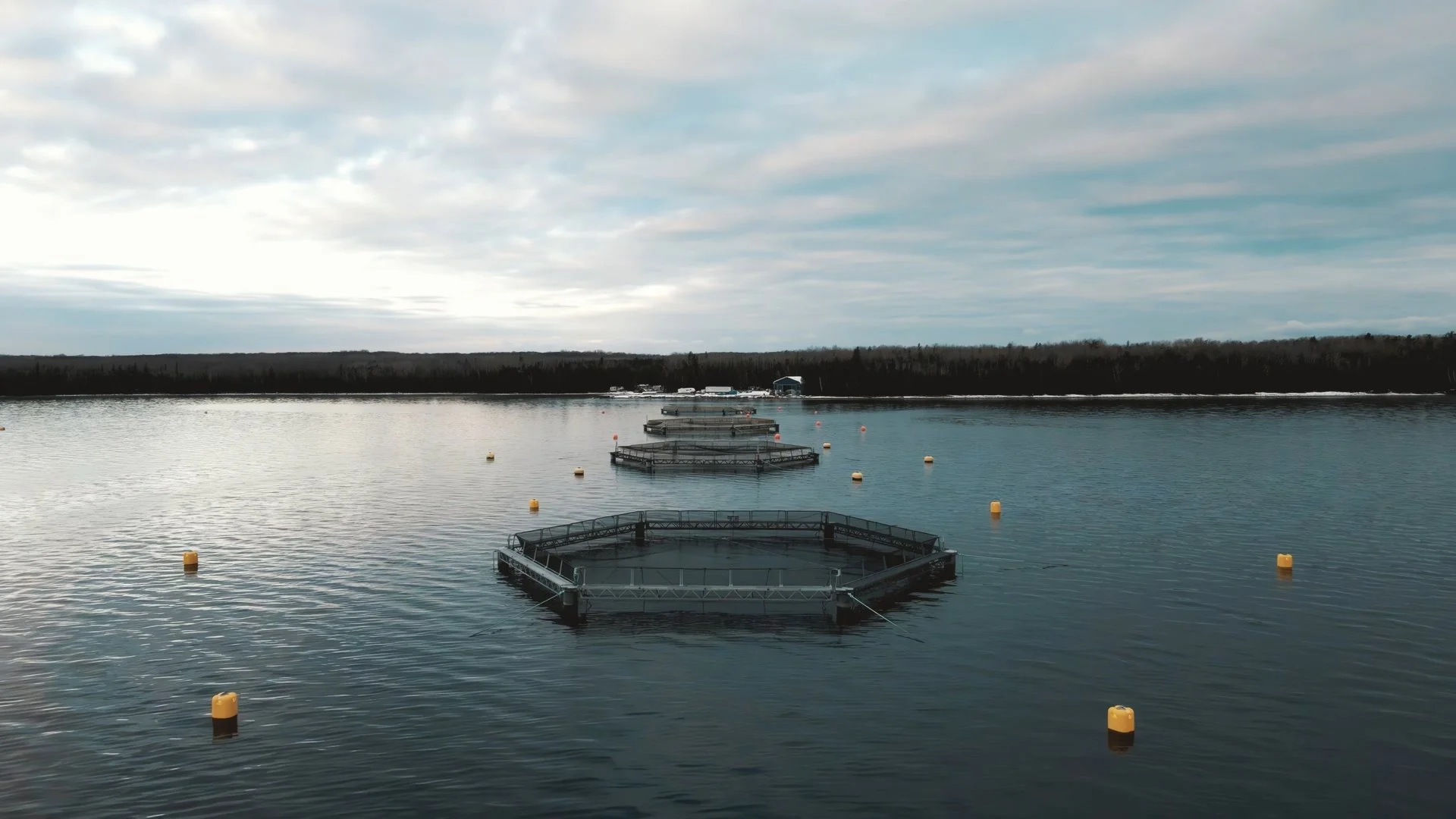 Still 2024-12-08 170924_1.1.12.jpg