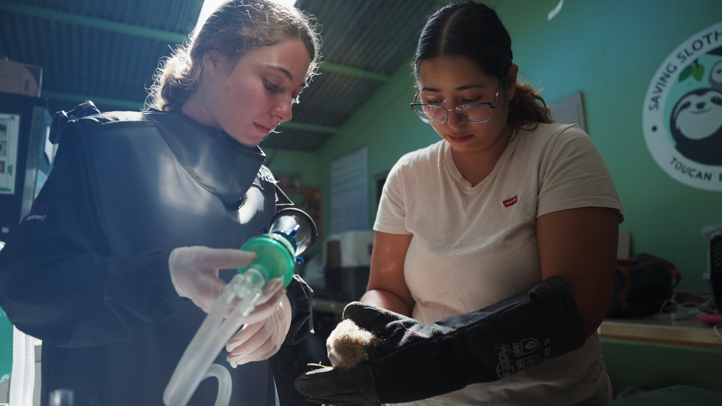 Still 2025-12-18 213052_2.23.1.jpg