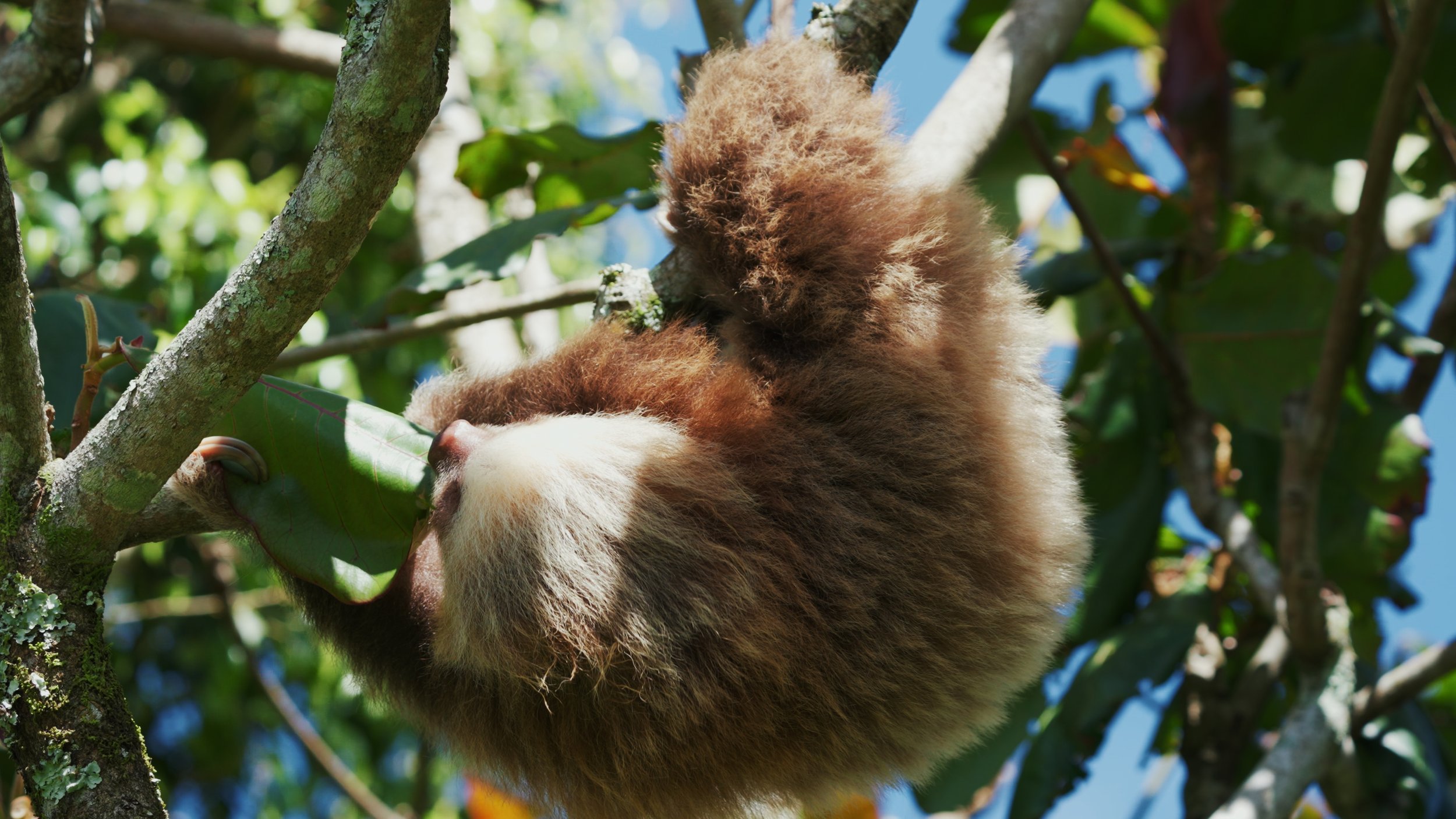 Still 2025-12-18 213052_1.5.4.jpg