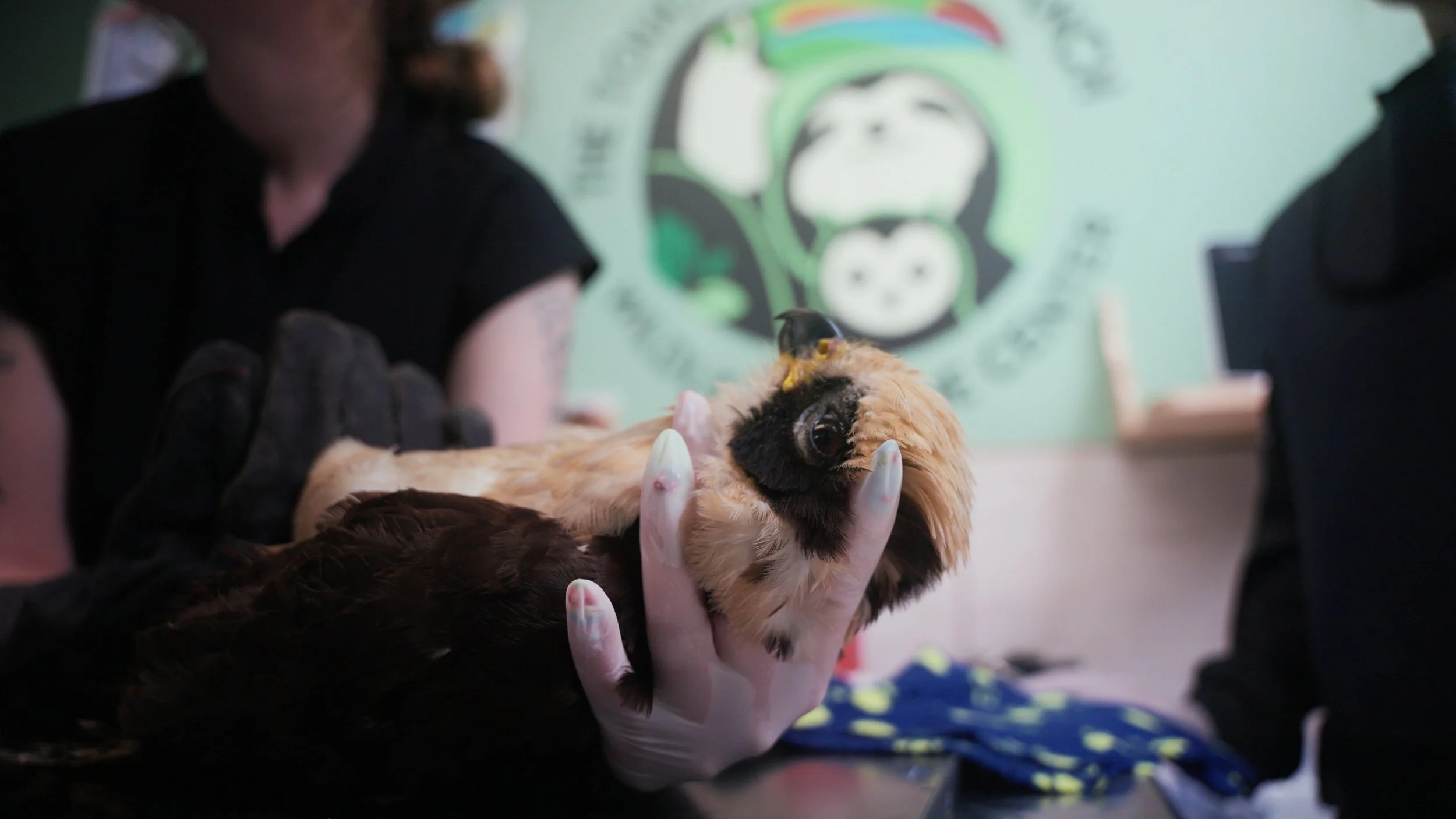 Still 2025-12-18 213052_2.25.1.jpg