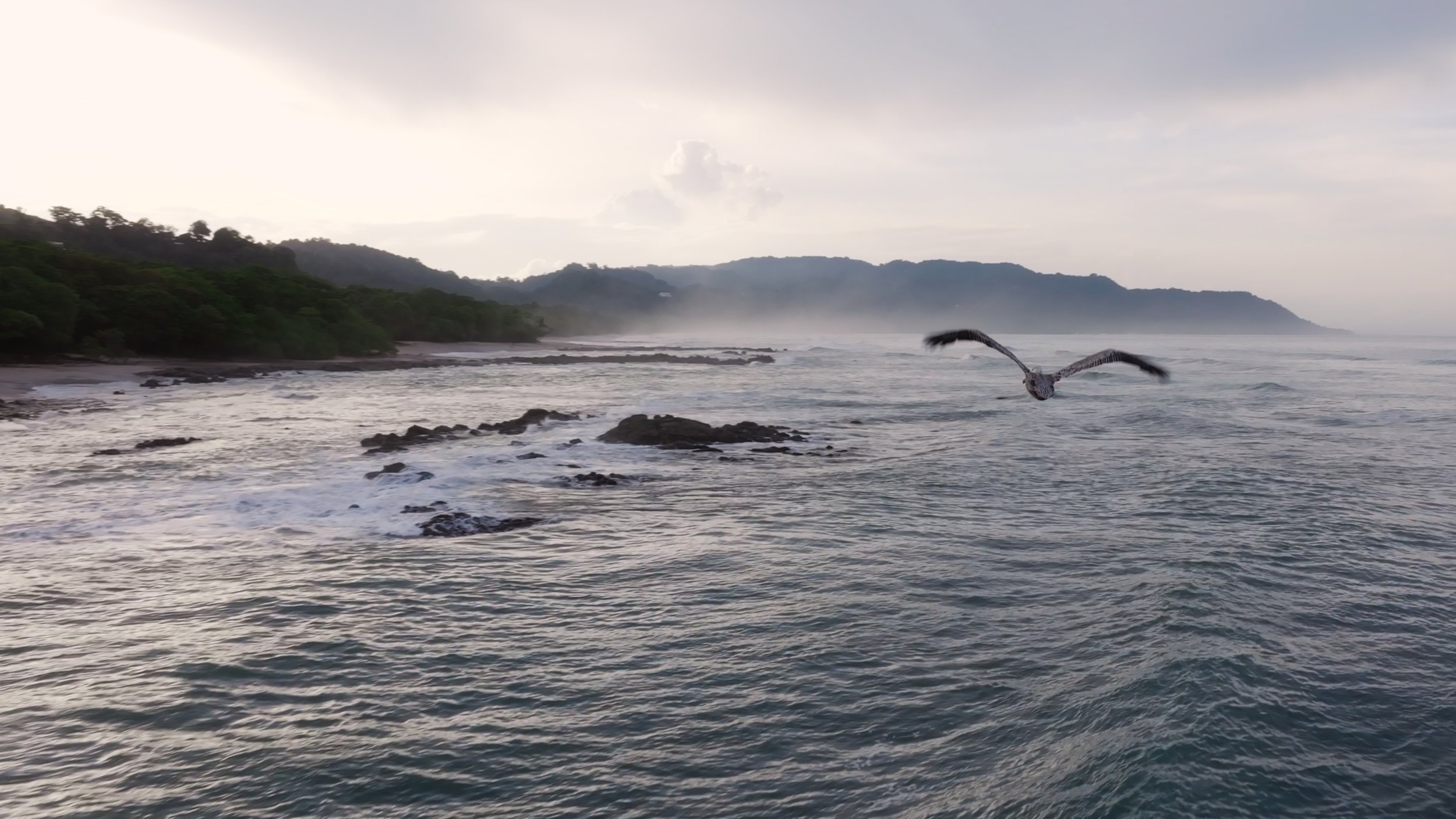 Still 2025-12-18 213052_2.3.1.jpg