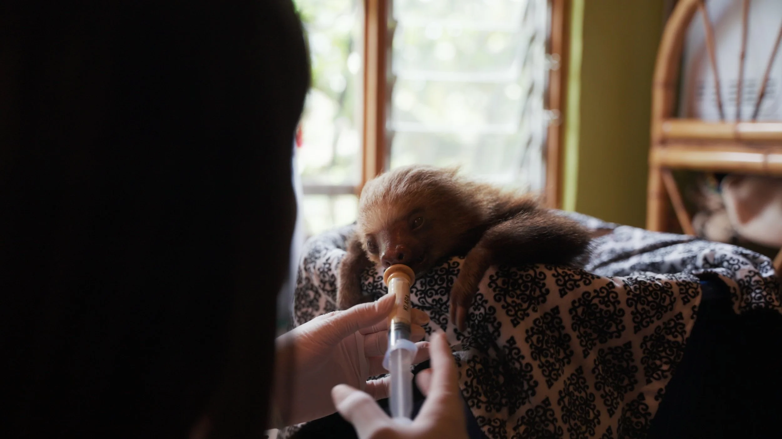 Still 2025-12-18 213052_2.38.1.jpg