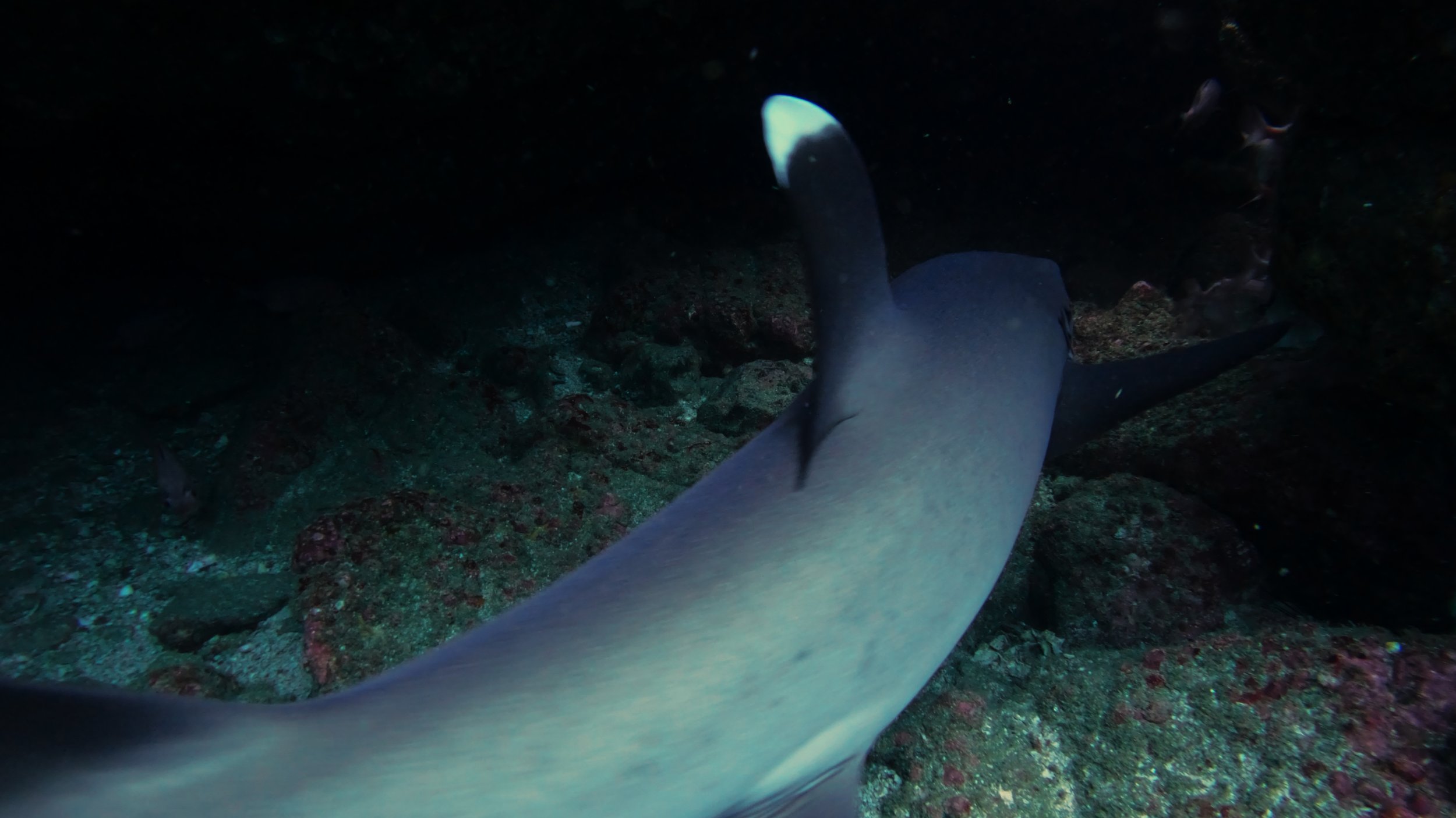 Still 2025-12-18 213052_2.6.2.jpg