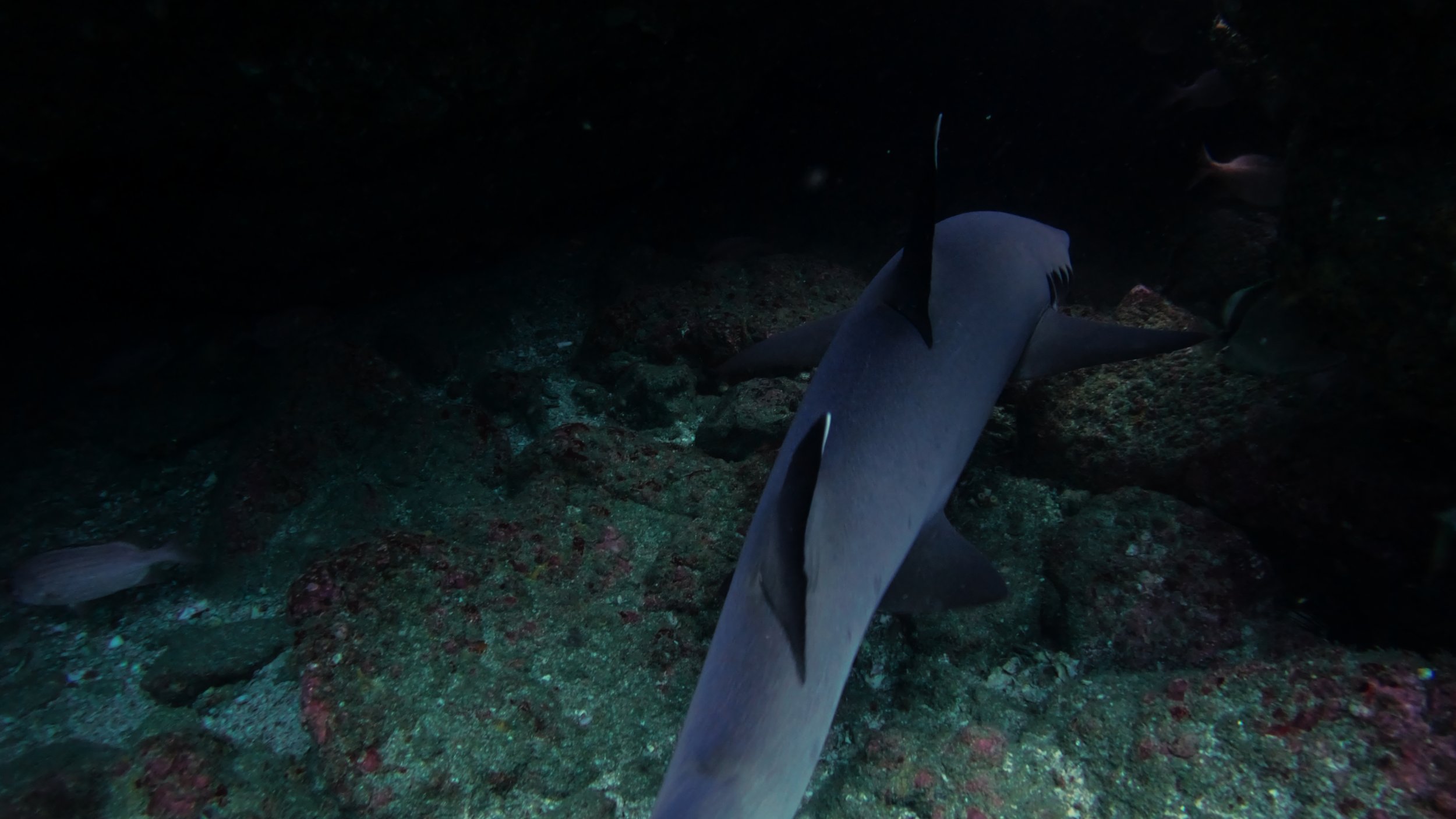 Still 2025-12-18 213052_2.6.3.jpg