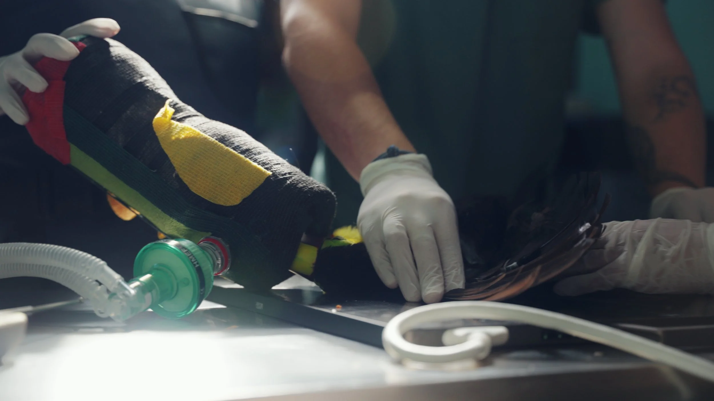 Still 2025-12-18 213052_1.2.1.jpg