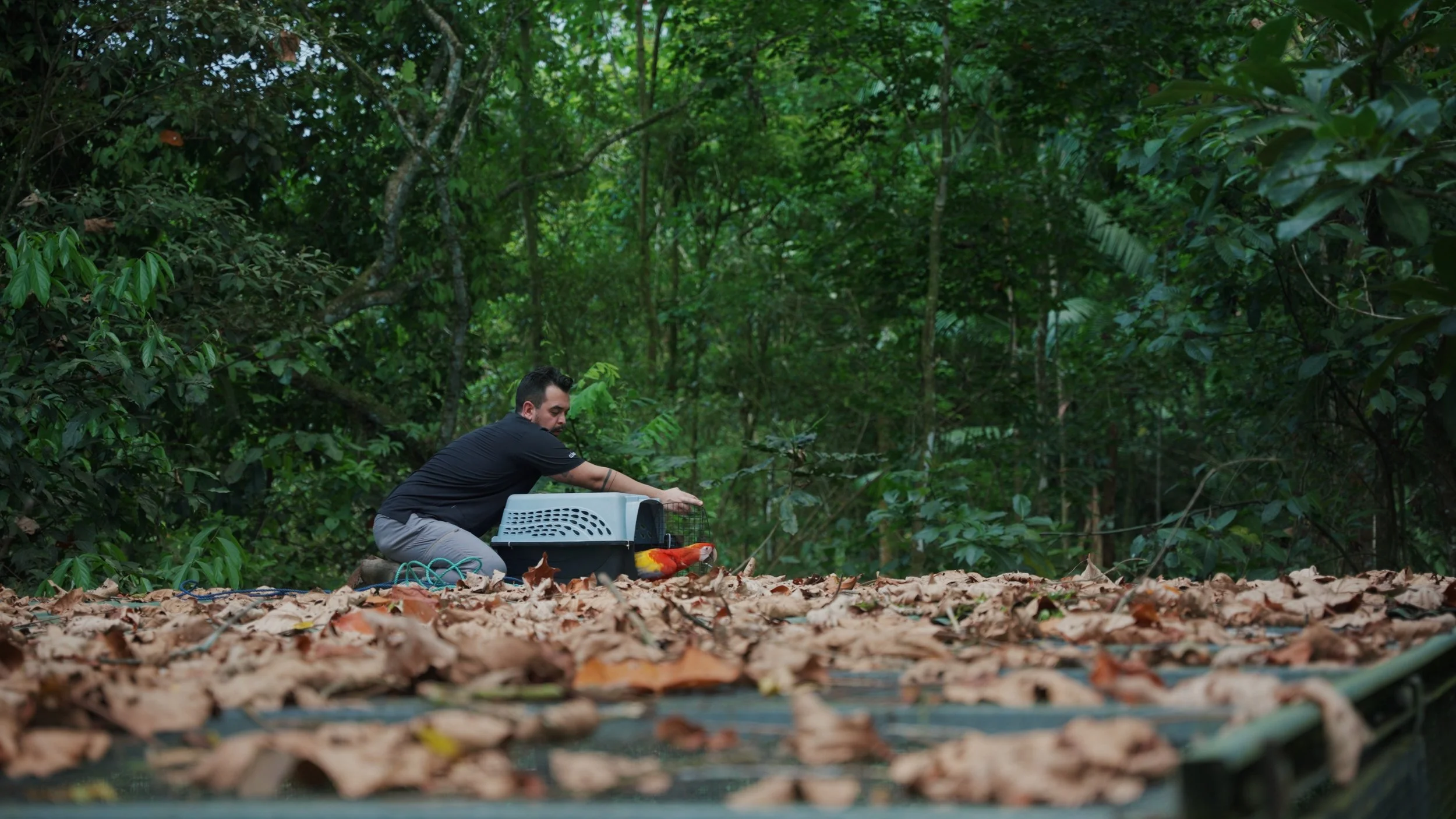 Still 2025-12-18 213052_1.5.17.jpg