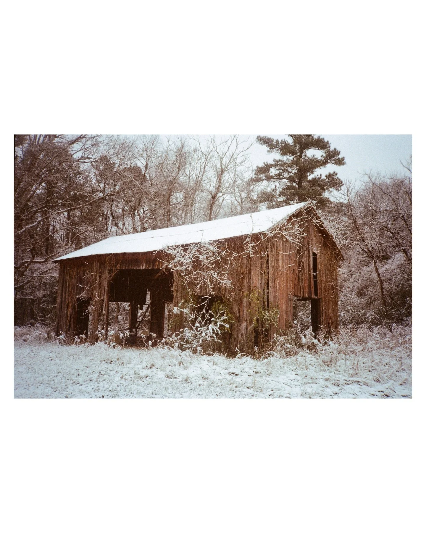 Fall and Winter are finally coming to a close so now we can actually enjoy being outside again. I&rsquo;ve been bad about shooting my Olympus XA even though I love how compact it is. Most of these photos are from November/December and finally finishe