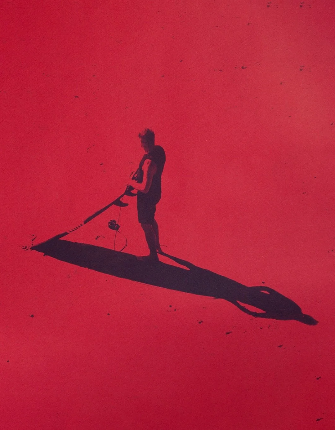 Experiments on red paper. Cyanotypes turn dark purple (thanks color theory) on red paper. Two digital negatives and one dried bouquet.

#cyanotypeprint #alternativephotography #757artist