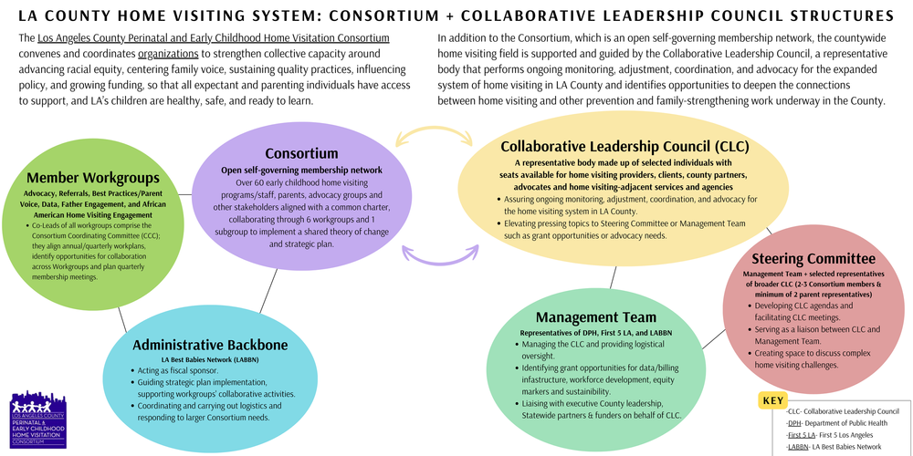 Collaborative Leadership Council — Los Angeles County Perinatal and