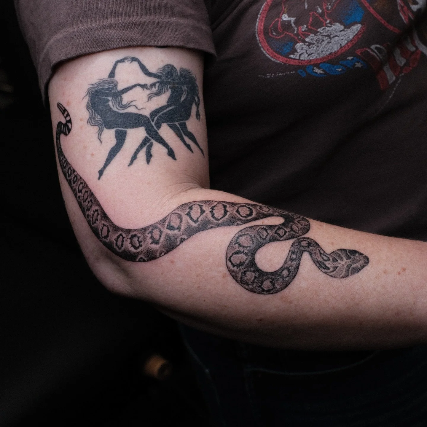 We are going absolutely WILD for our resident @sam.animal and all of her incredible critters. What animal are you dreaming of getting tattooed? 

#atxtattoo #animaltattoos #crittertattoo #austintattooartist #snaketattoos