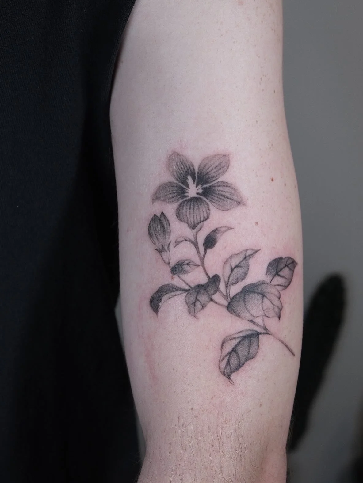 Our resident artist @slowhandstattoo gracing skin with her delicate touch, book with her for April to get in on these vibes. 

#greyscaletattoo #finelinetattoo #austintattooshop