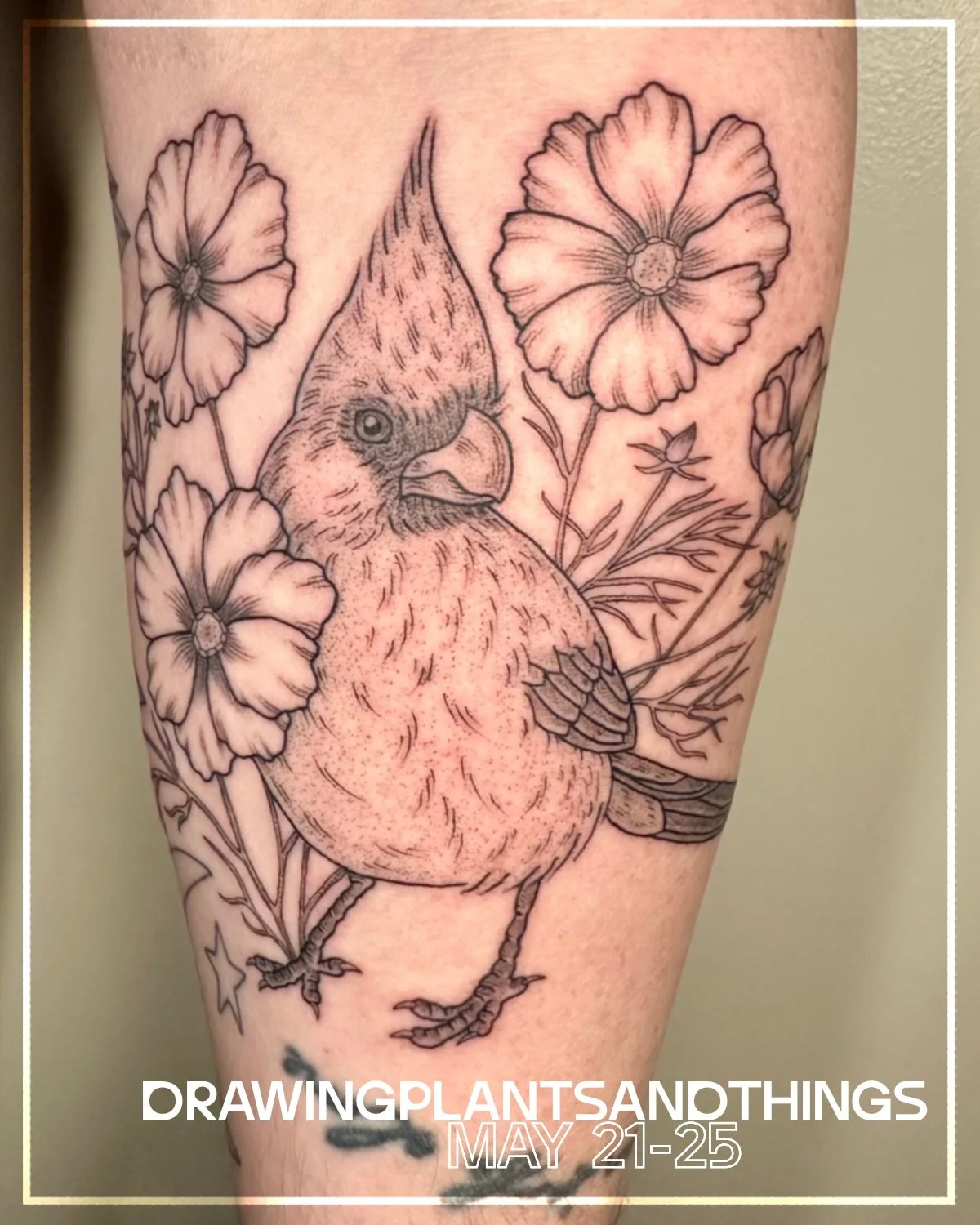 Have you been itching to get some plants and things? Well @drawingplantsandthings is coming to town and we are so glad to have her guesting with us again~Book with her directly.

#botanicaltattoos #animaltattoos #blackandgreytattoo #atxtattooartist #