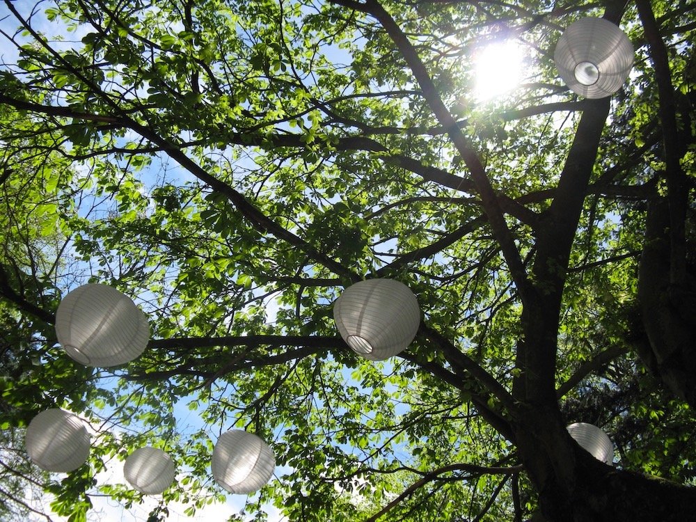 Idea | Highly Sensitive Havens