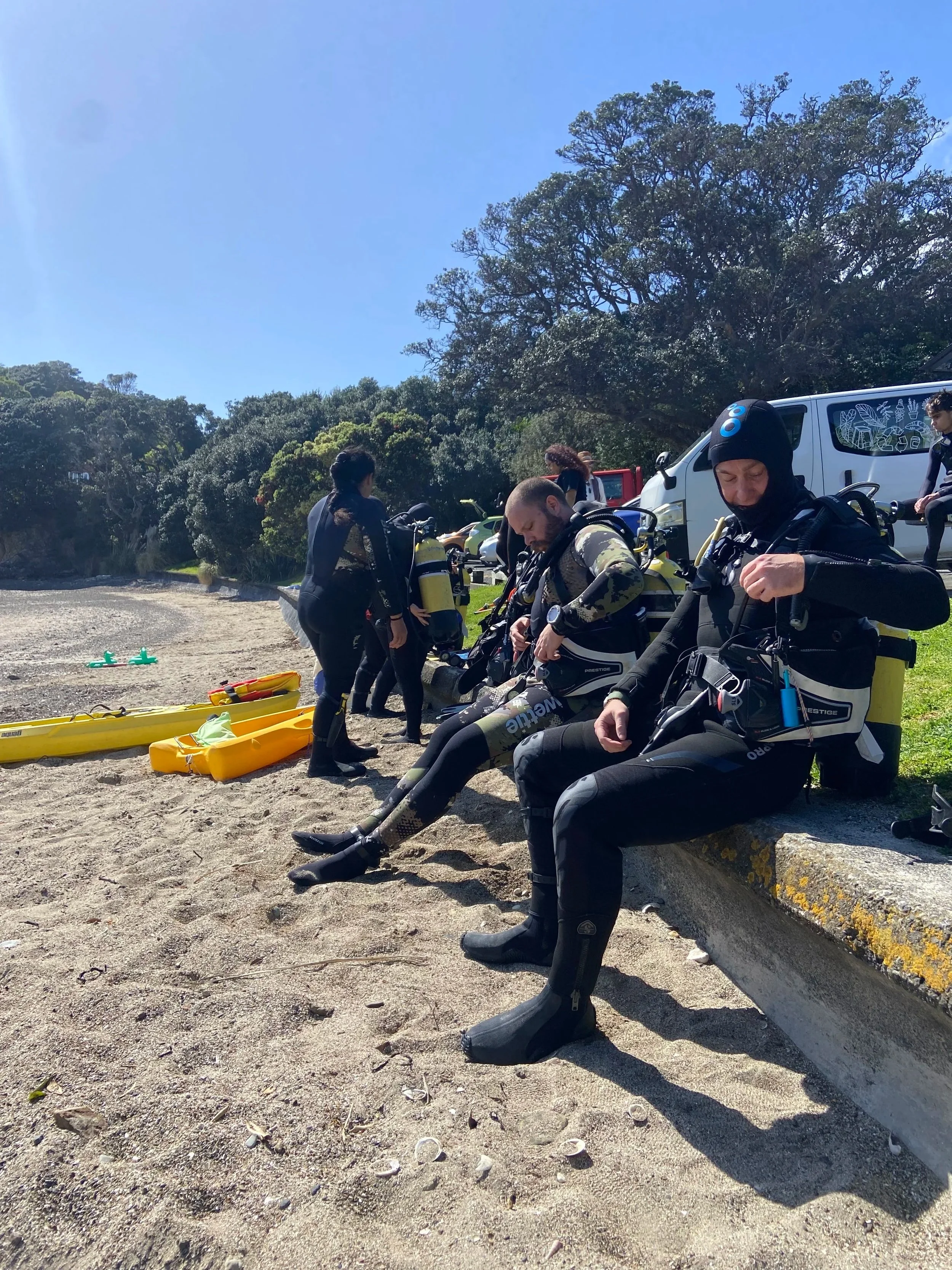 Regen Diving - Commitment to Sea 