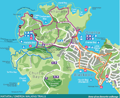 Community Beach Clean - Matiatia Bay