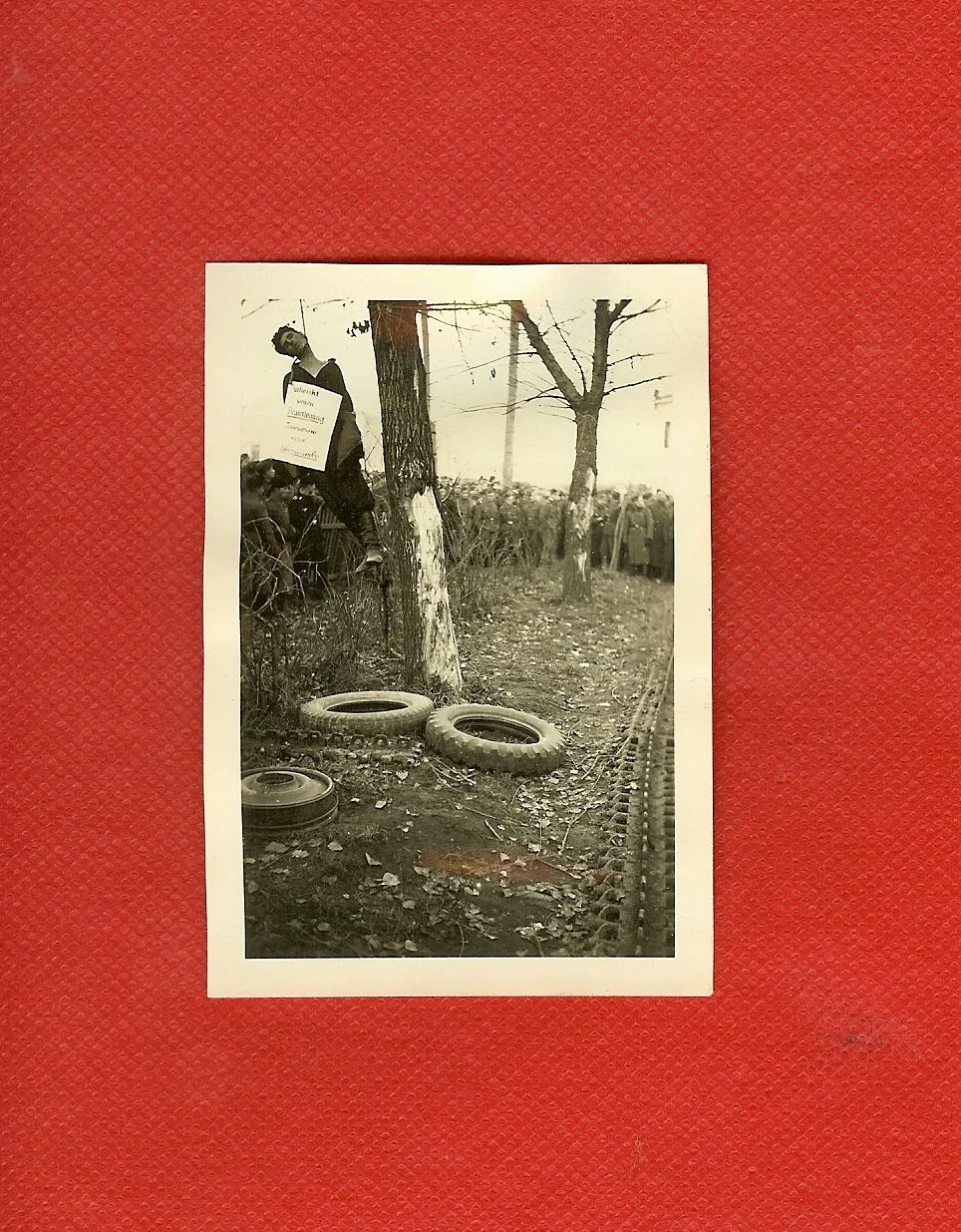 scan0022.jpg