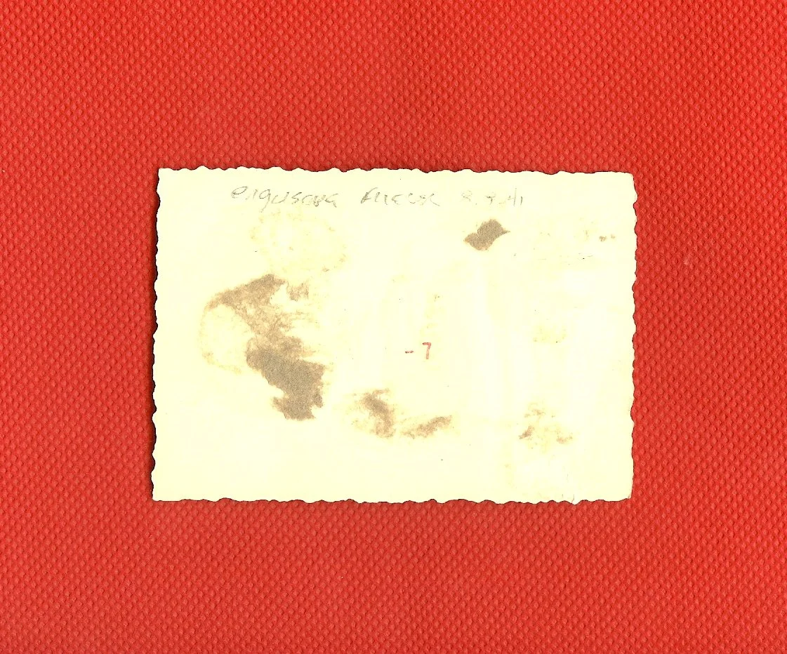 scan0042c.jpg