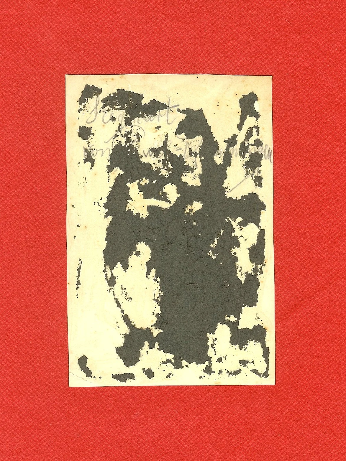 scan0024c.jpg