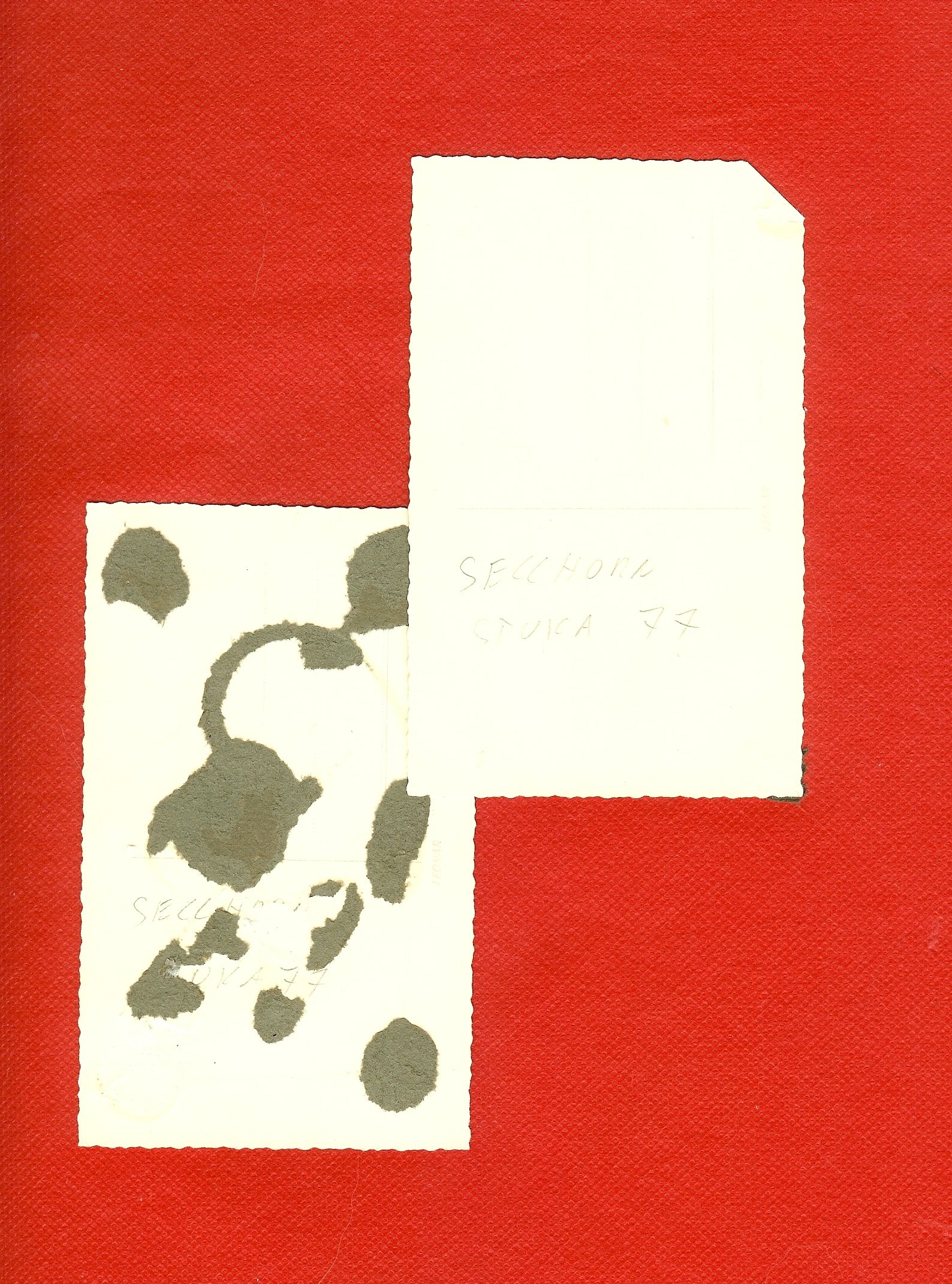 scan0003d.jpg