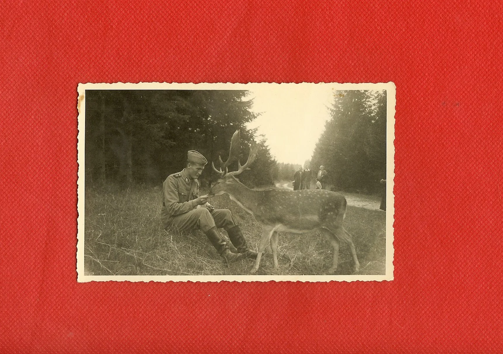 scan0020.jpg