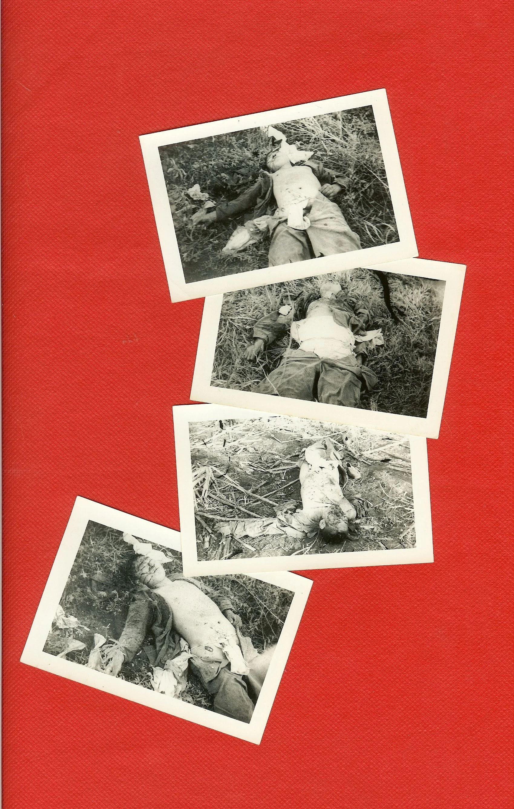 scan0011.jpg