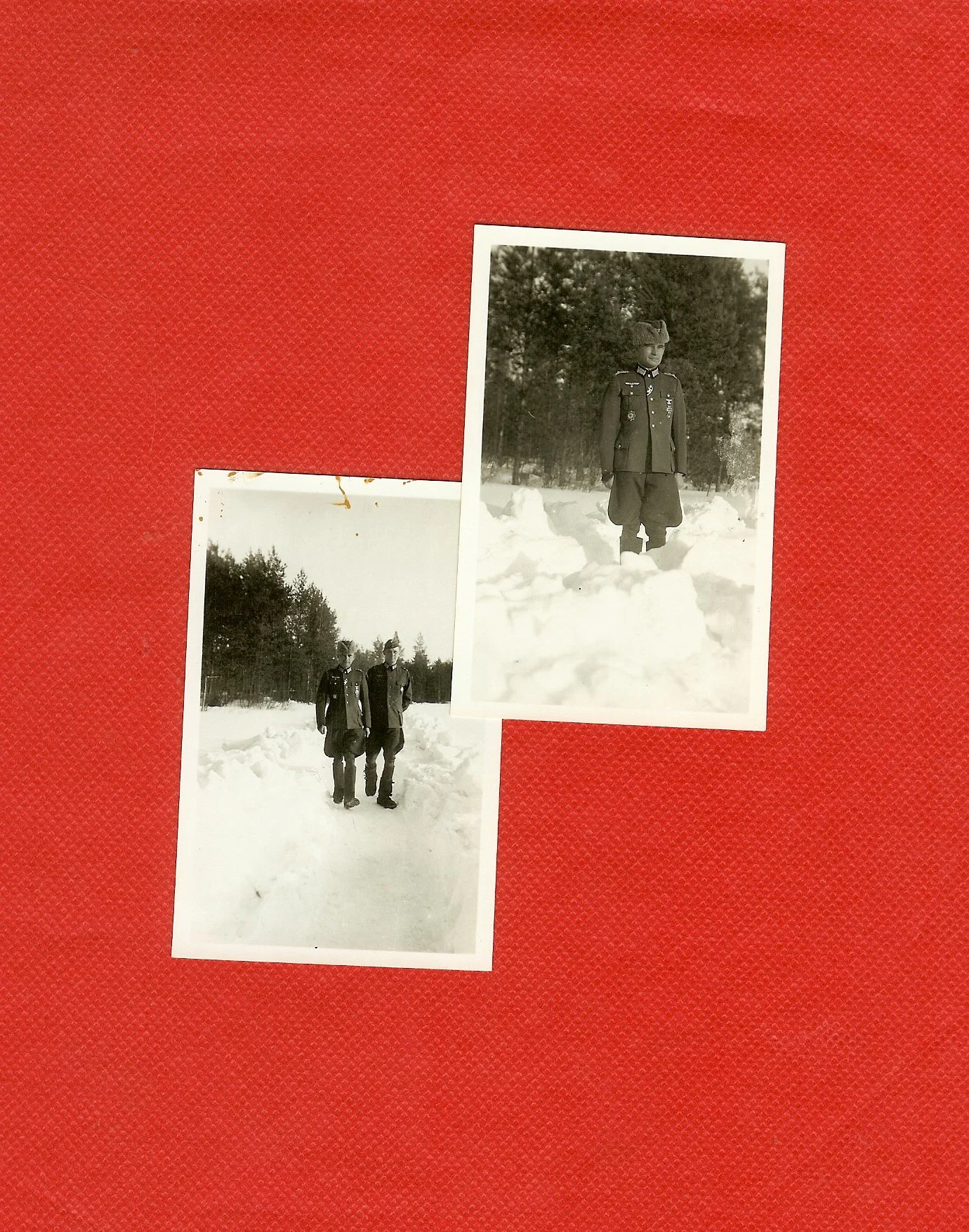 scan0013.jpg
