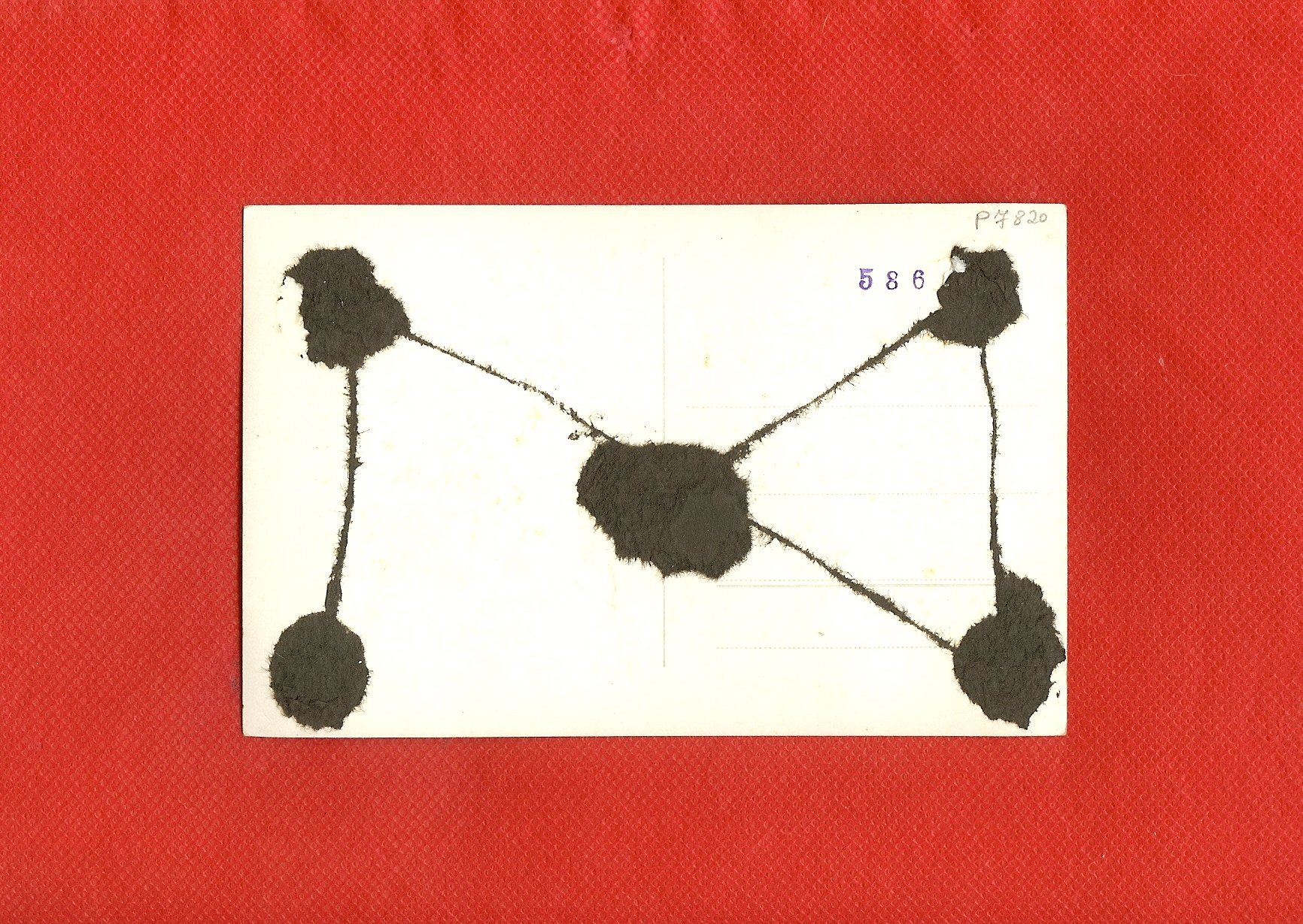 scan0010d.jpg