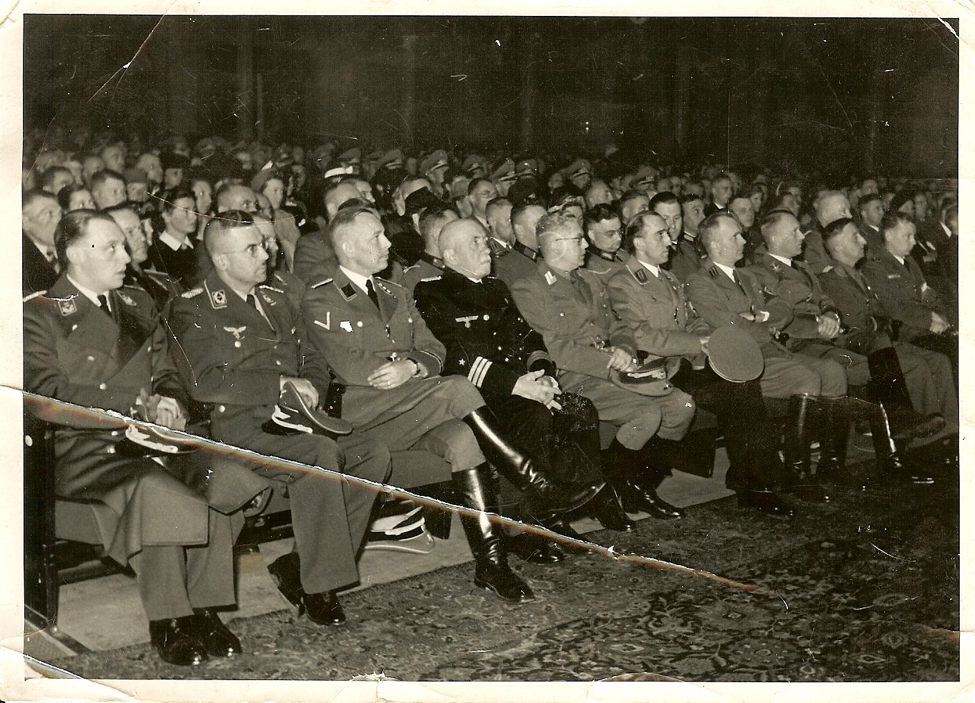 scan0010d.jpg