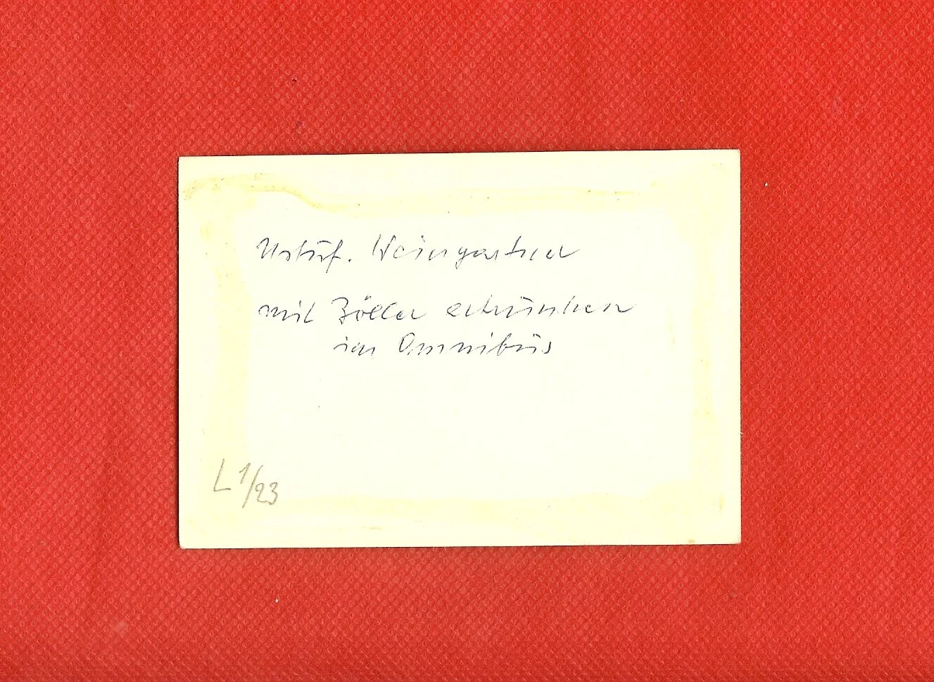 scan0019c.jpg