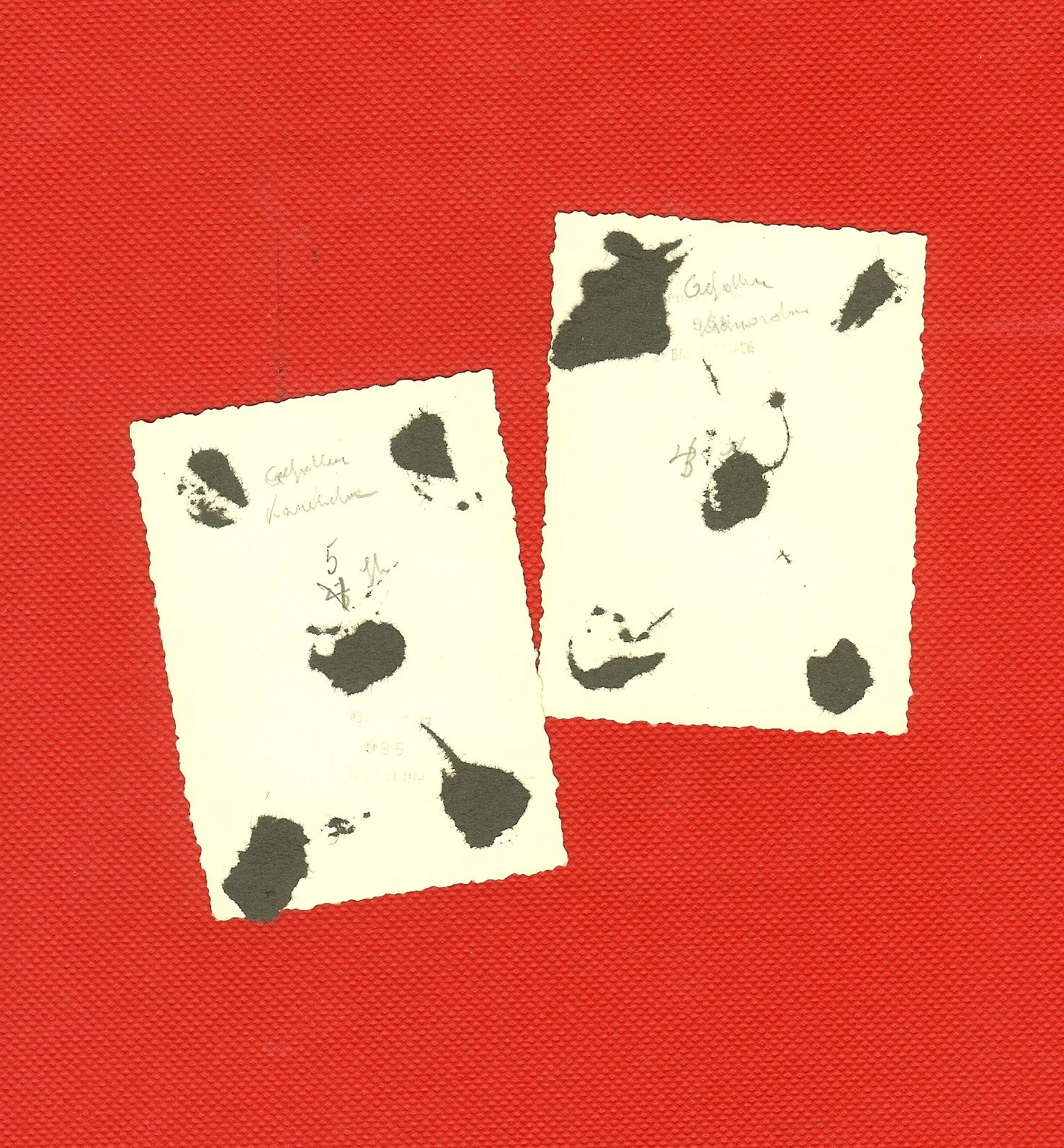 scan0013e.jpg