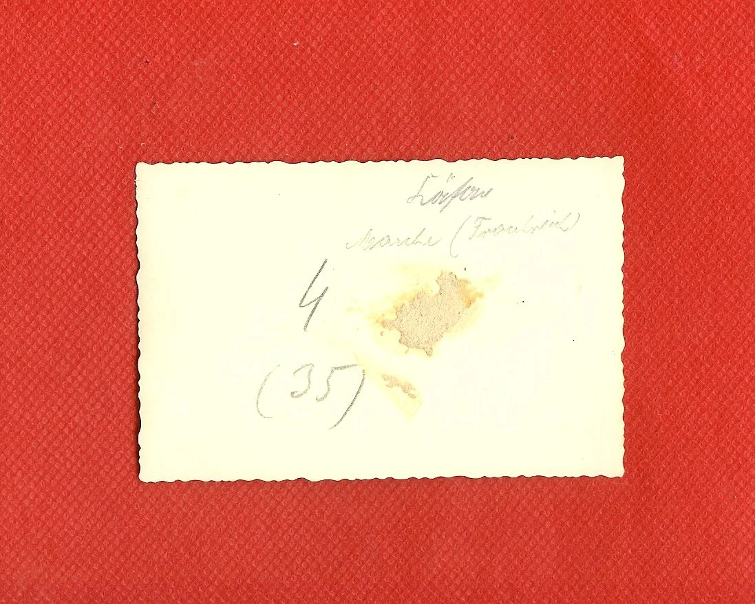 scan0007c.jpg