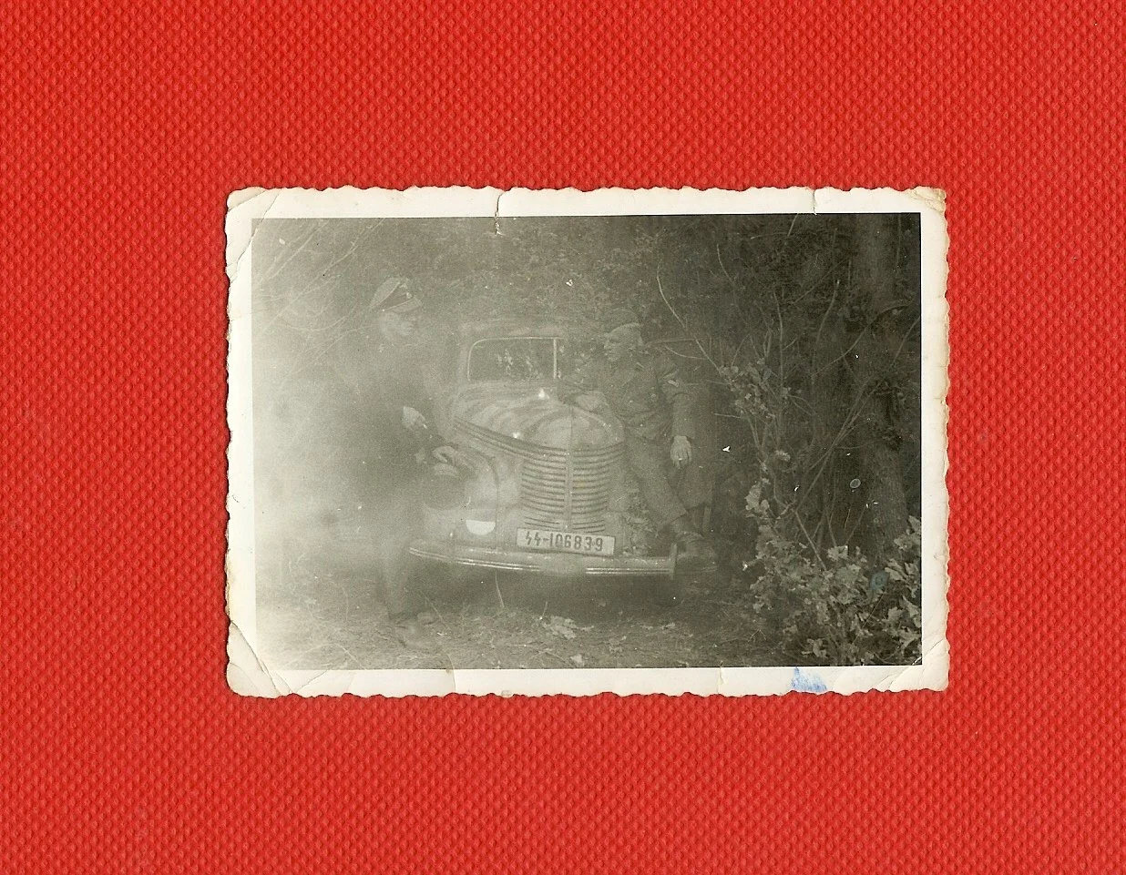 scan0006.jpg