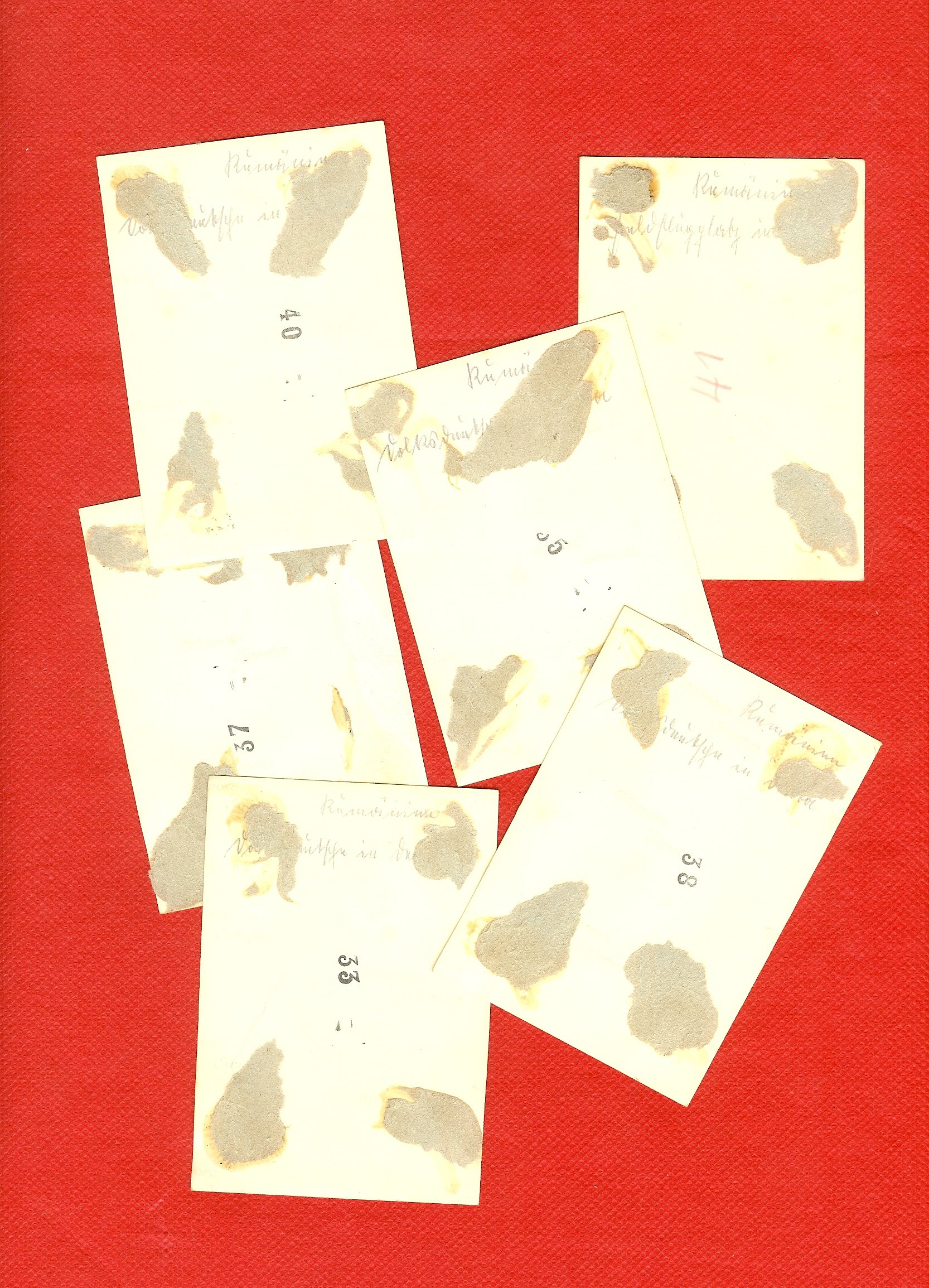 scan0001h.jpg