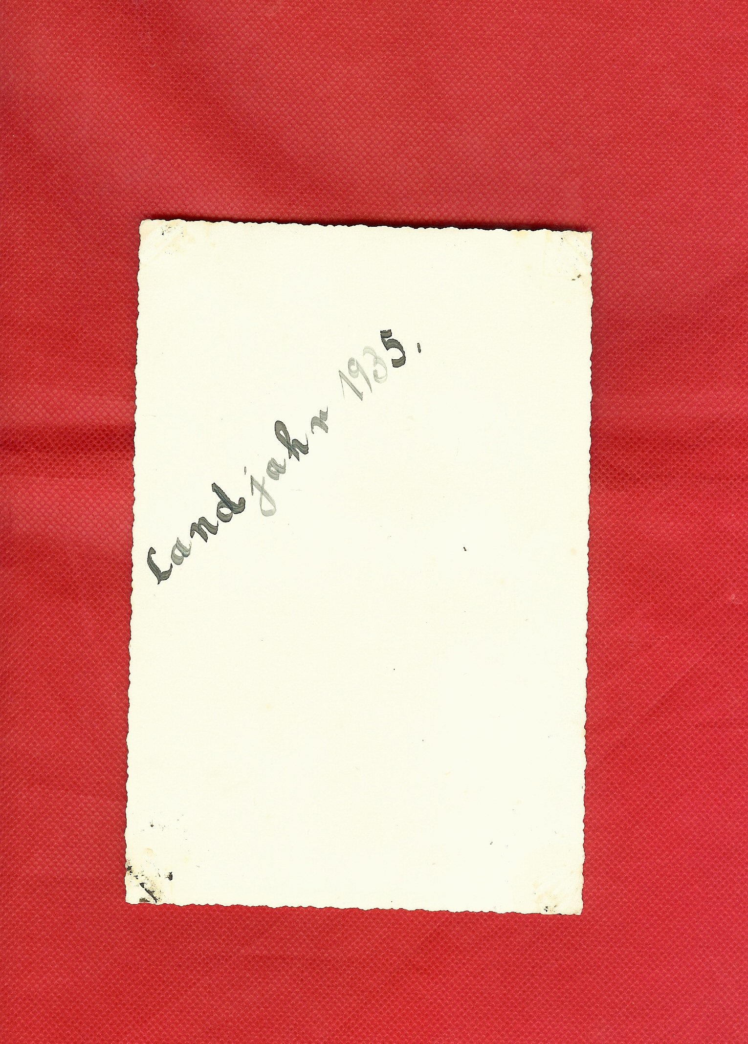 scan0012d.jpg