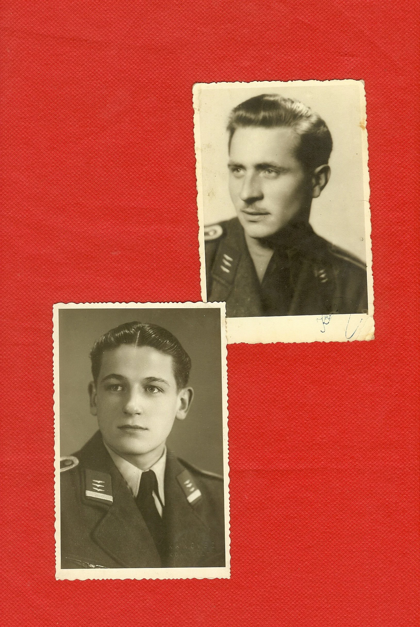 scan0011.jpg