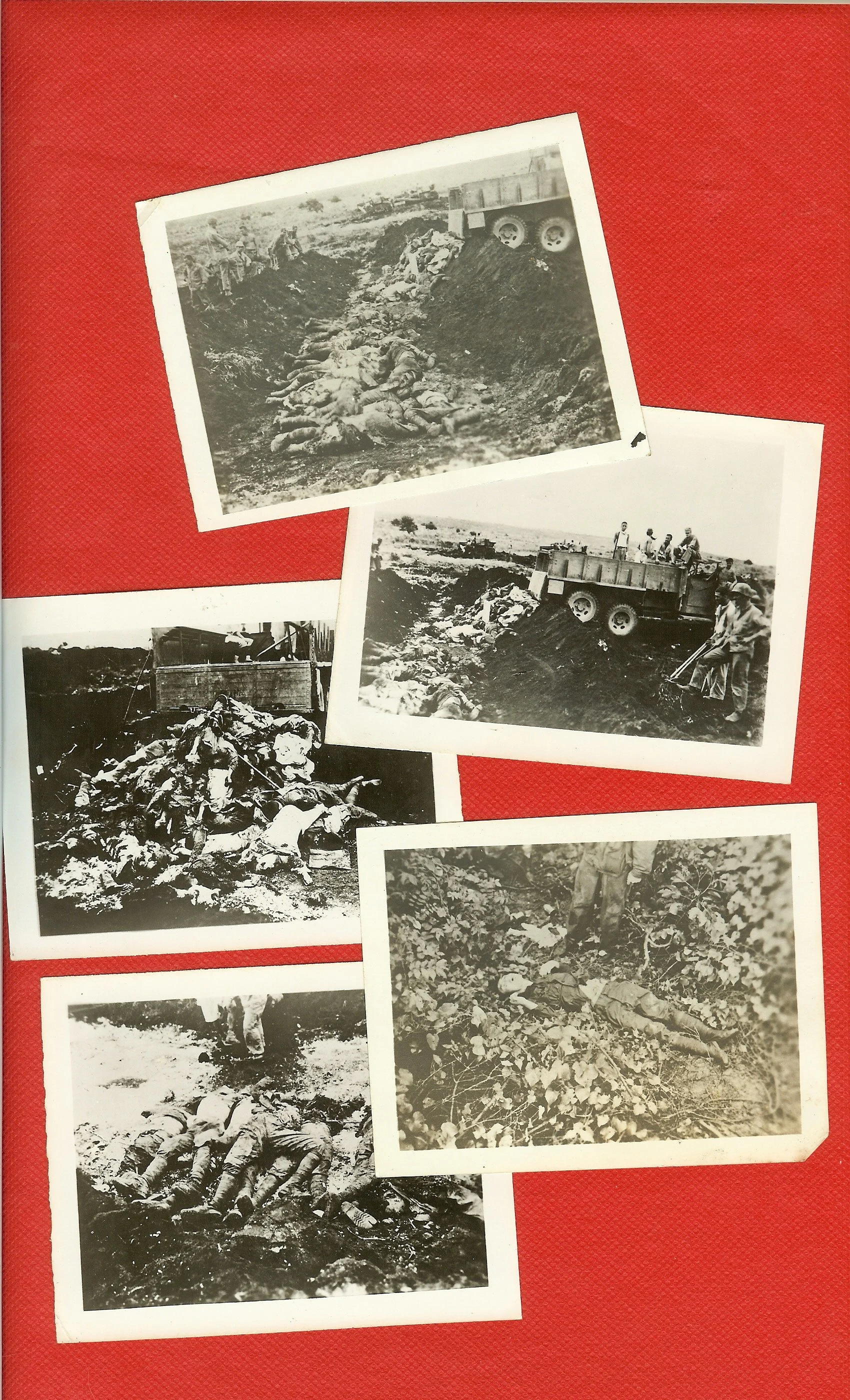 scan0005.jpg