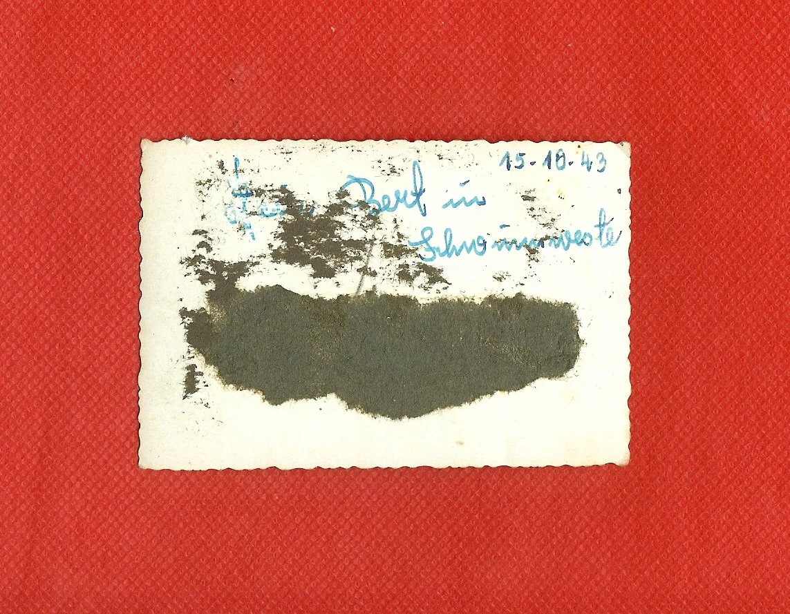 scan0006d.jpg