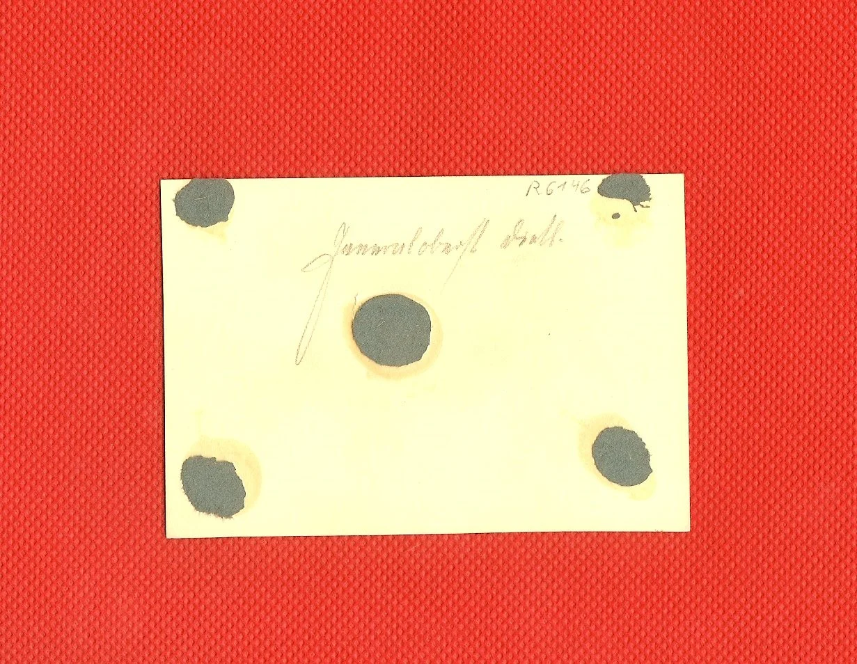 scan0007c.jpg