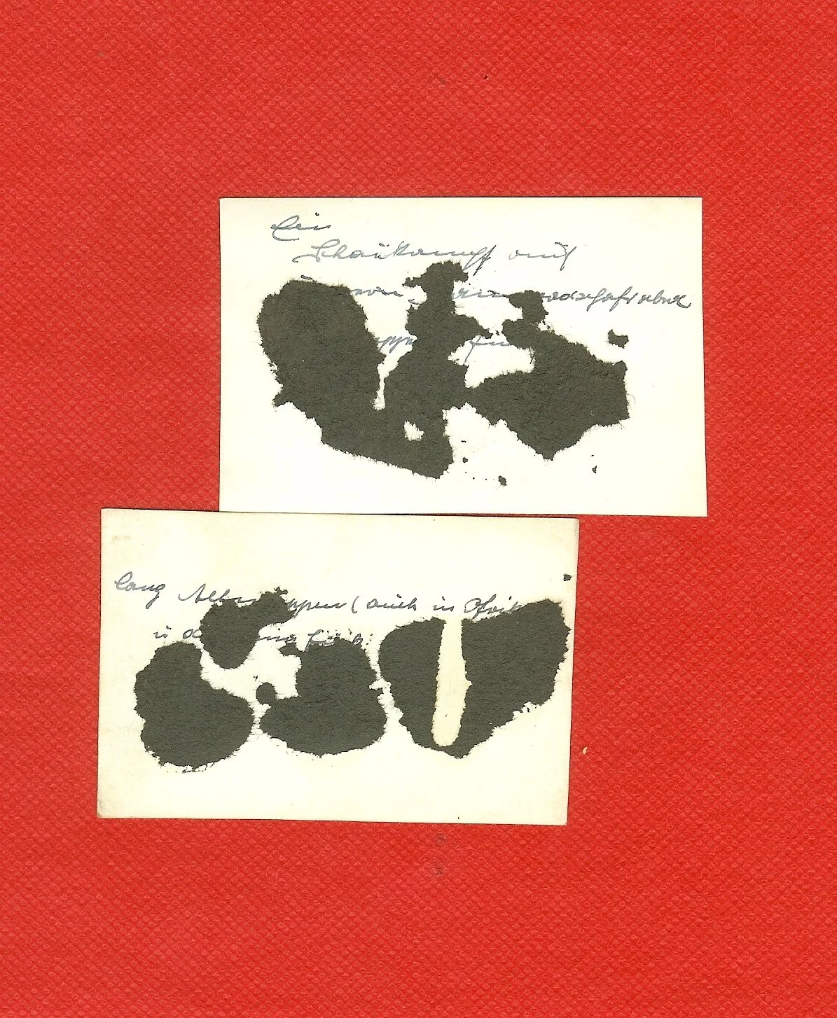 scan0024c.jpg