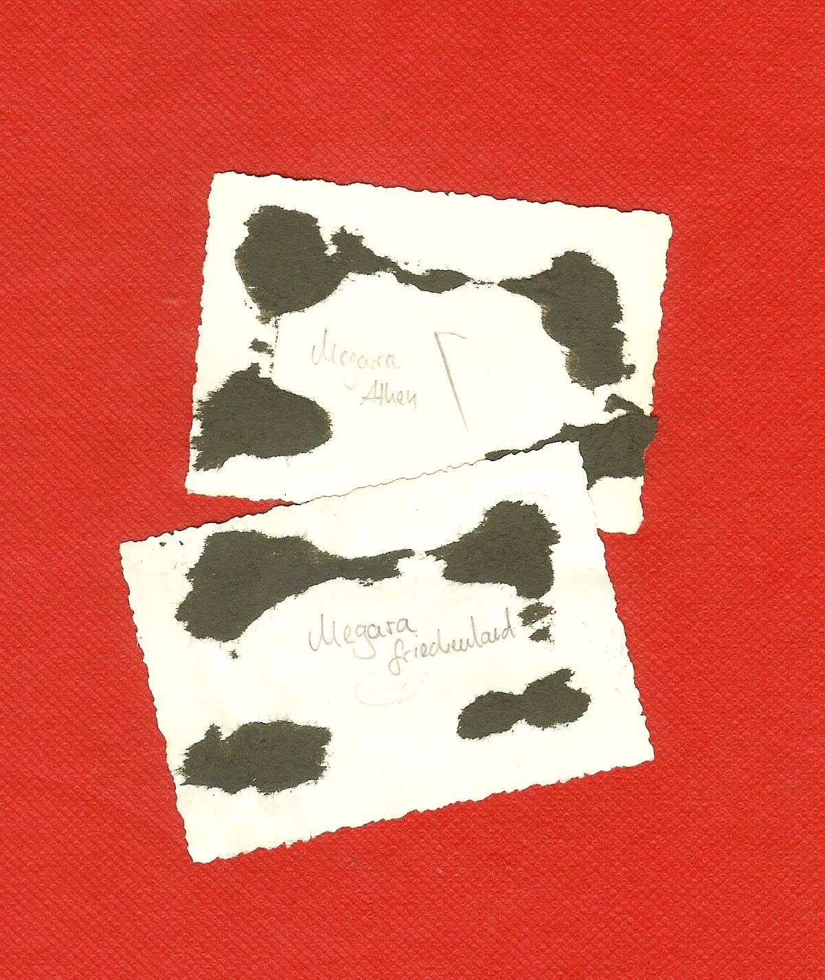 scan0007e.jpg
