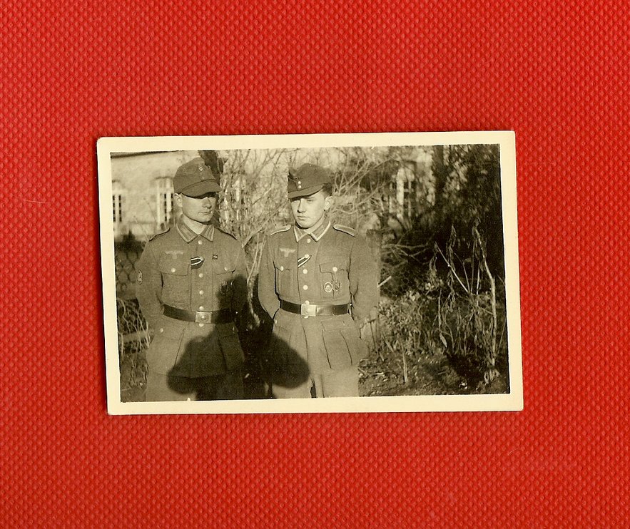 scan0006.jpg