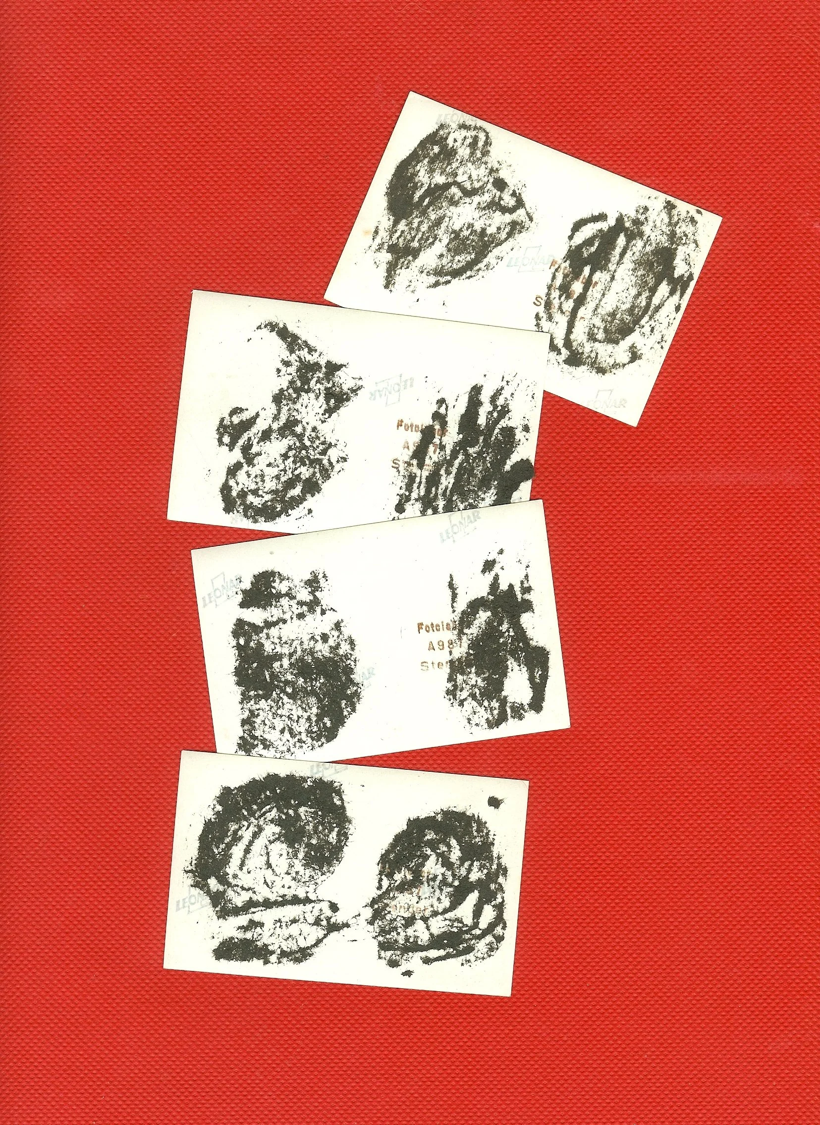 scan0011e.jpg