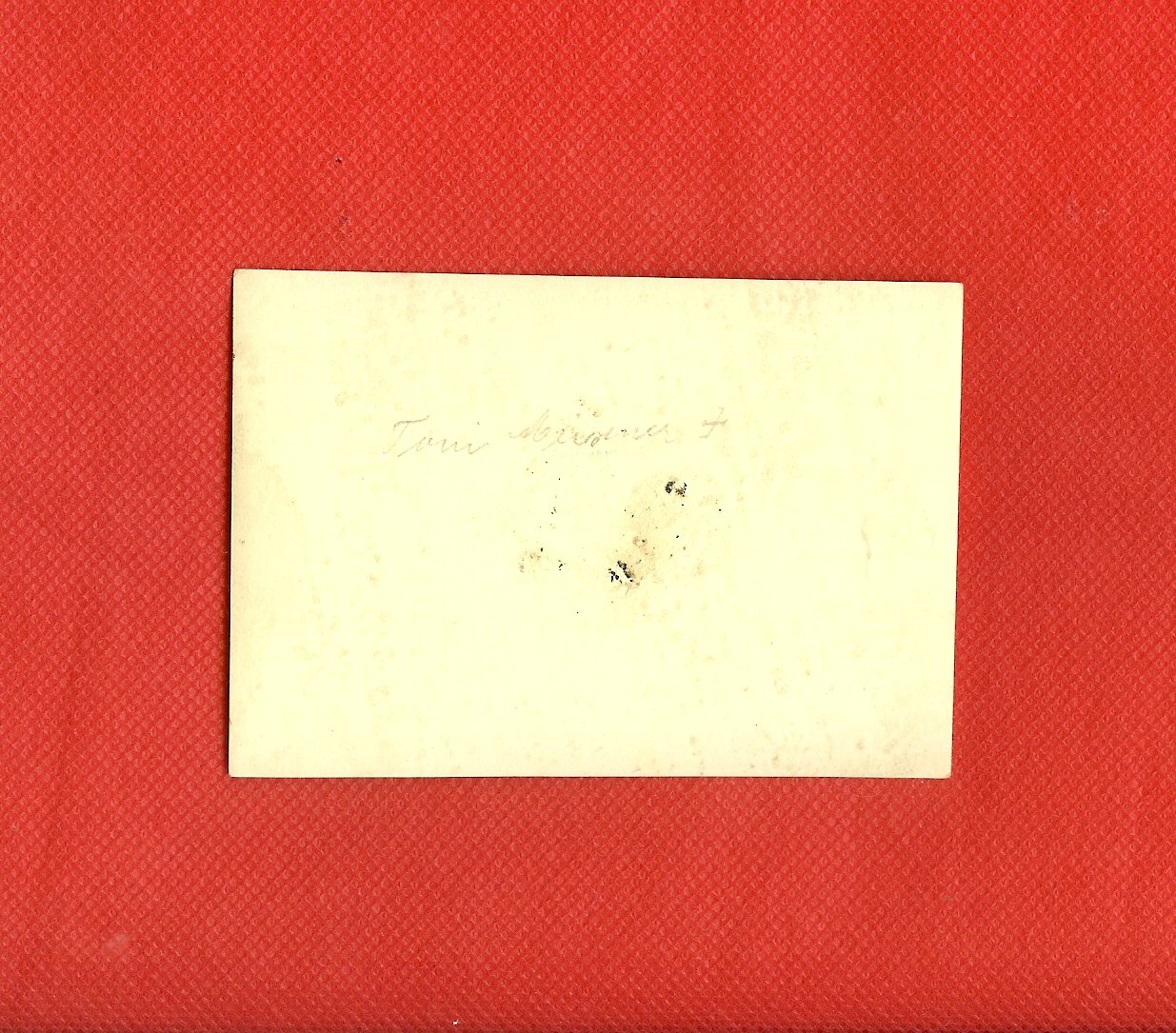 scan0008c.jpg