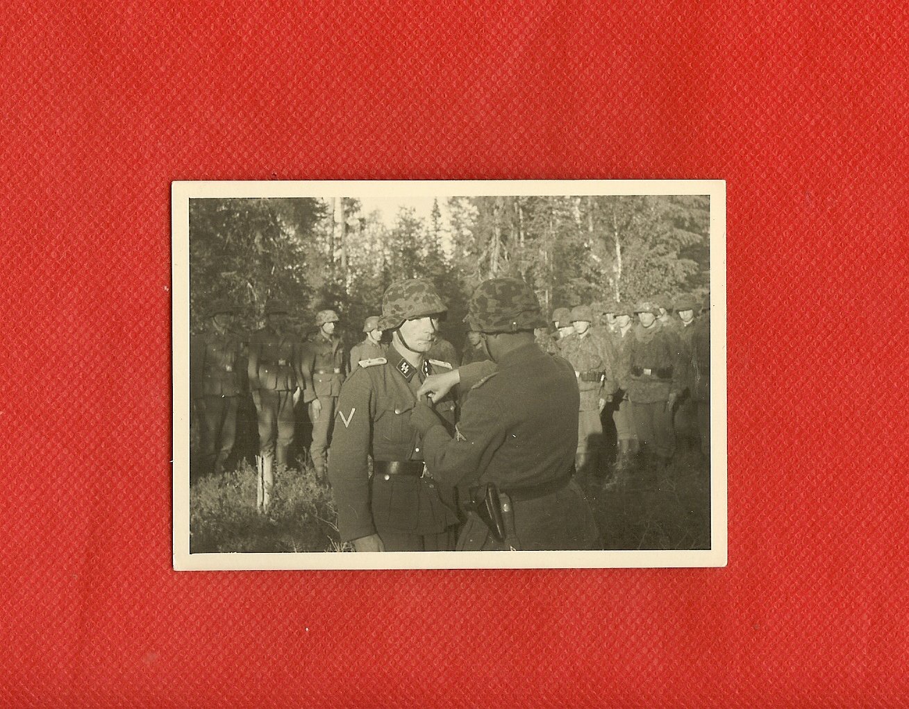 scan0019.jpg