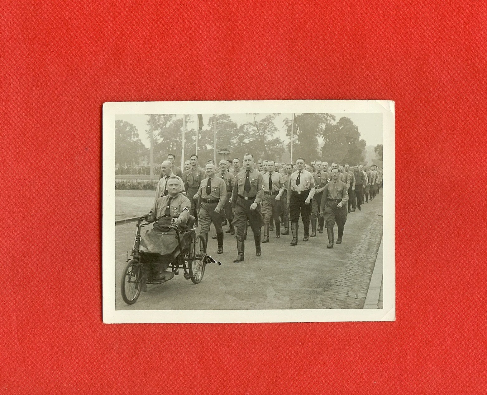 scan0014.jpg