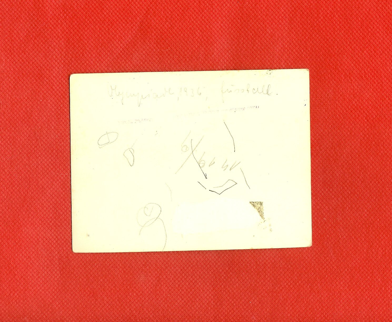 scan0015c.jpg