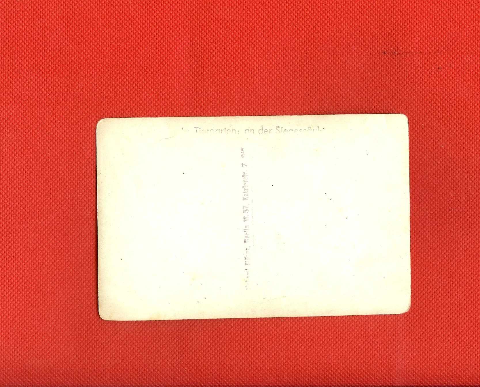 scan0019e.jpg