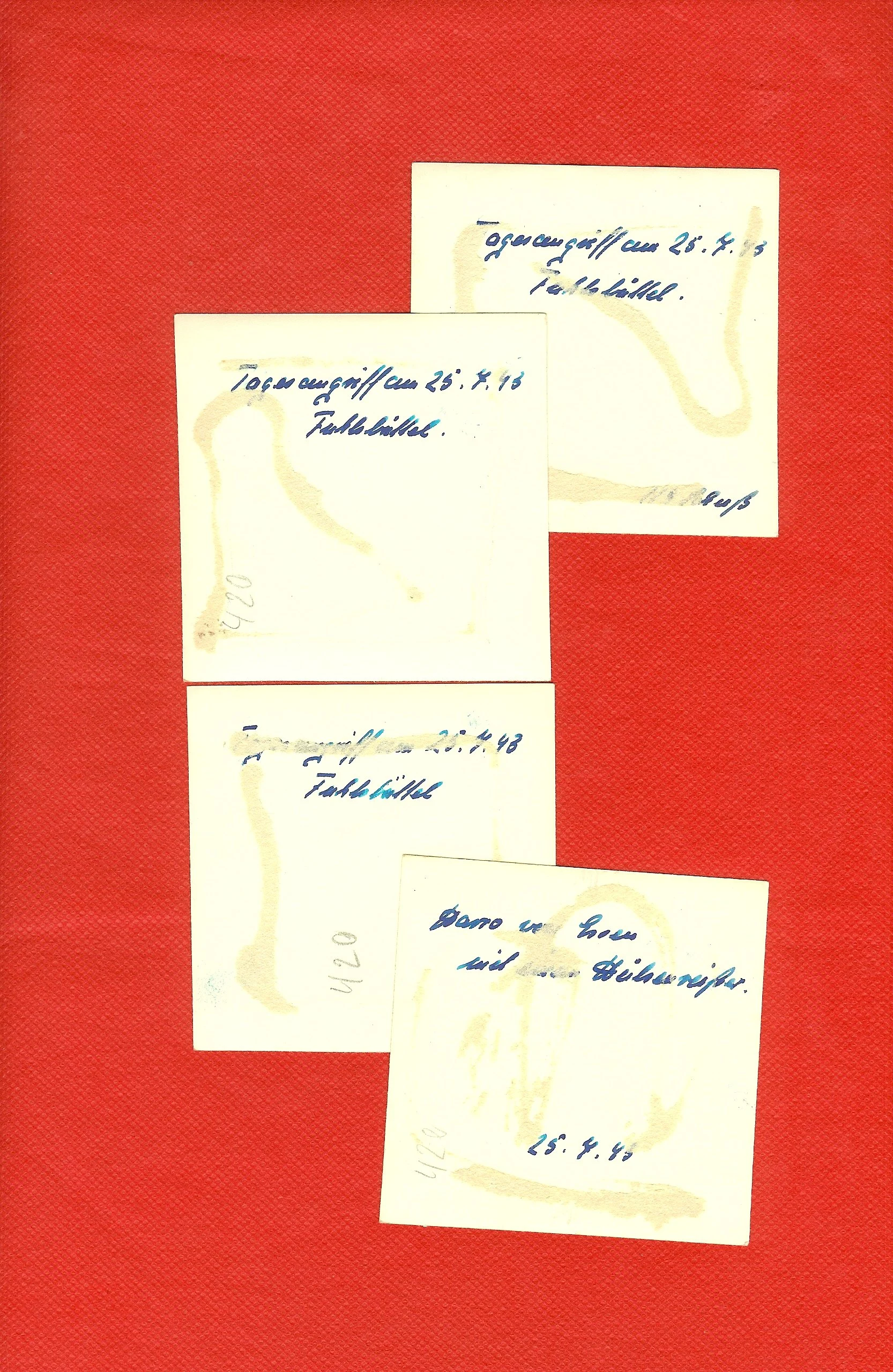 scan0019e.jpg