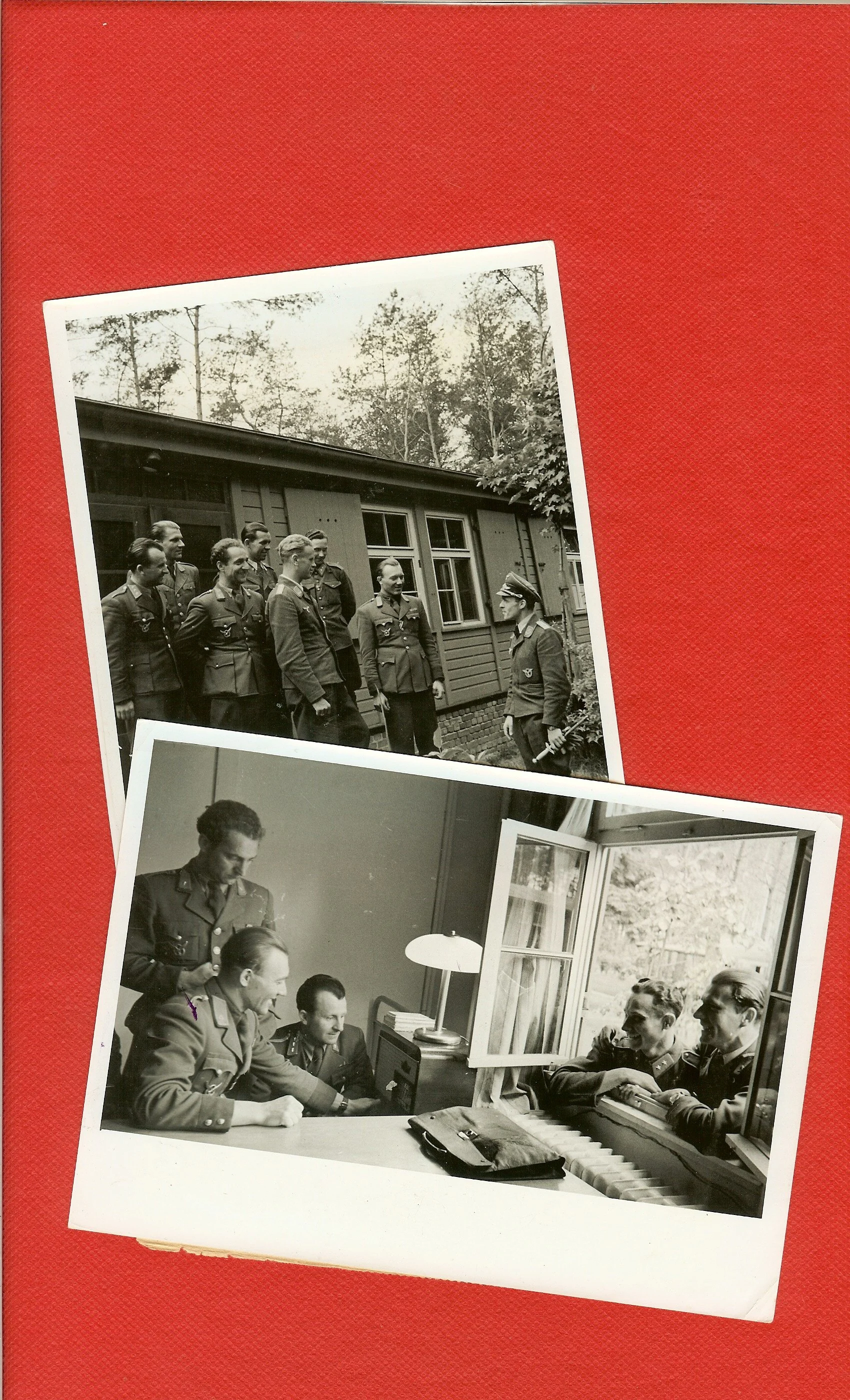 scan0019.jpg