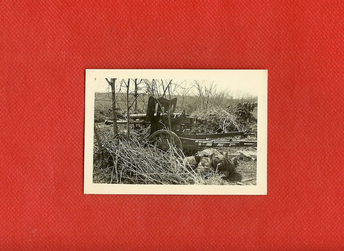 scan0003.jpg